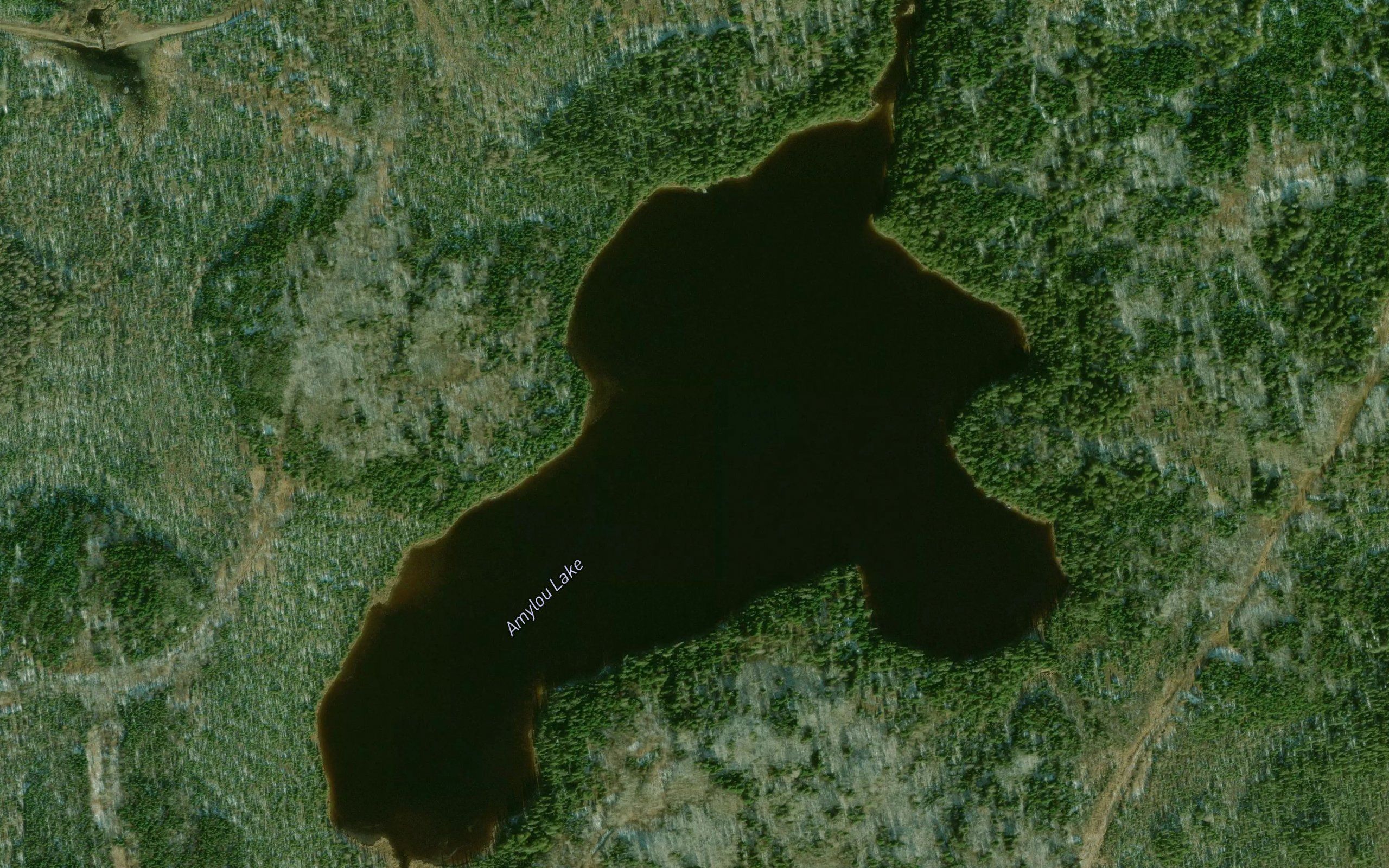 Amylou Lake
