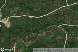 North Branch Brassau Stream