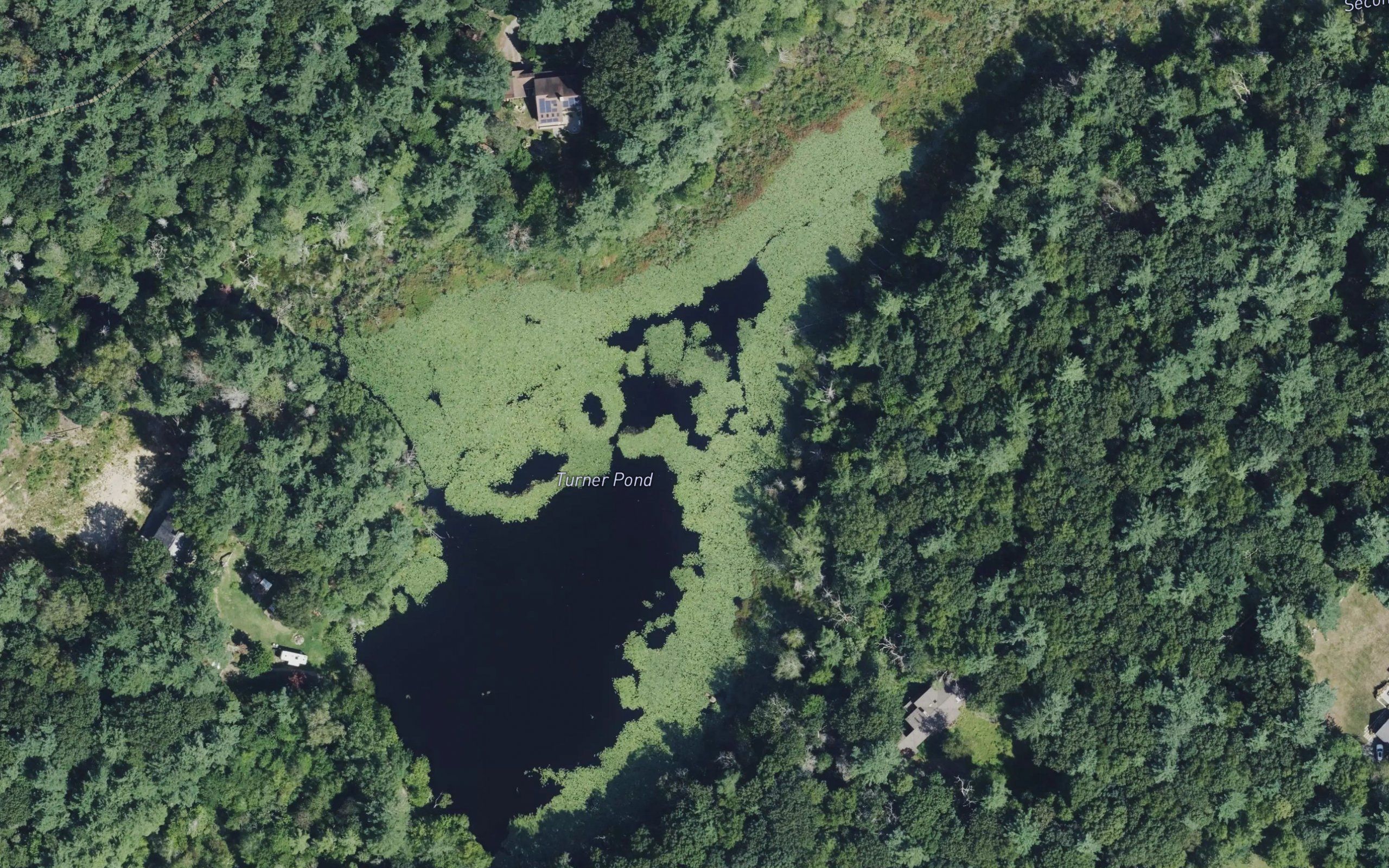 Turner Pond