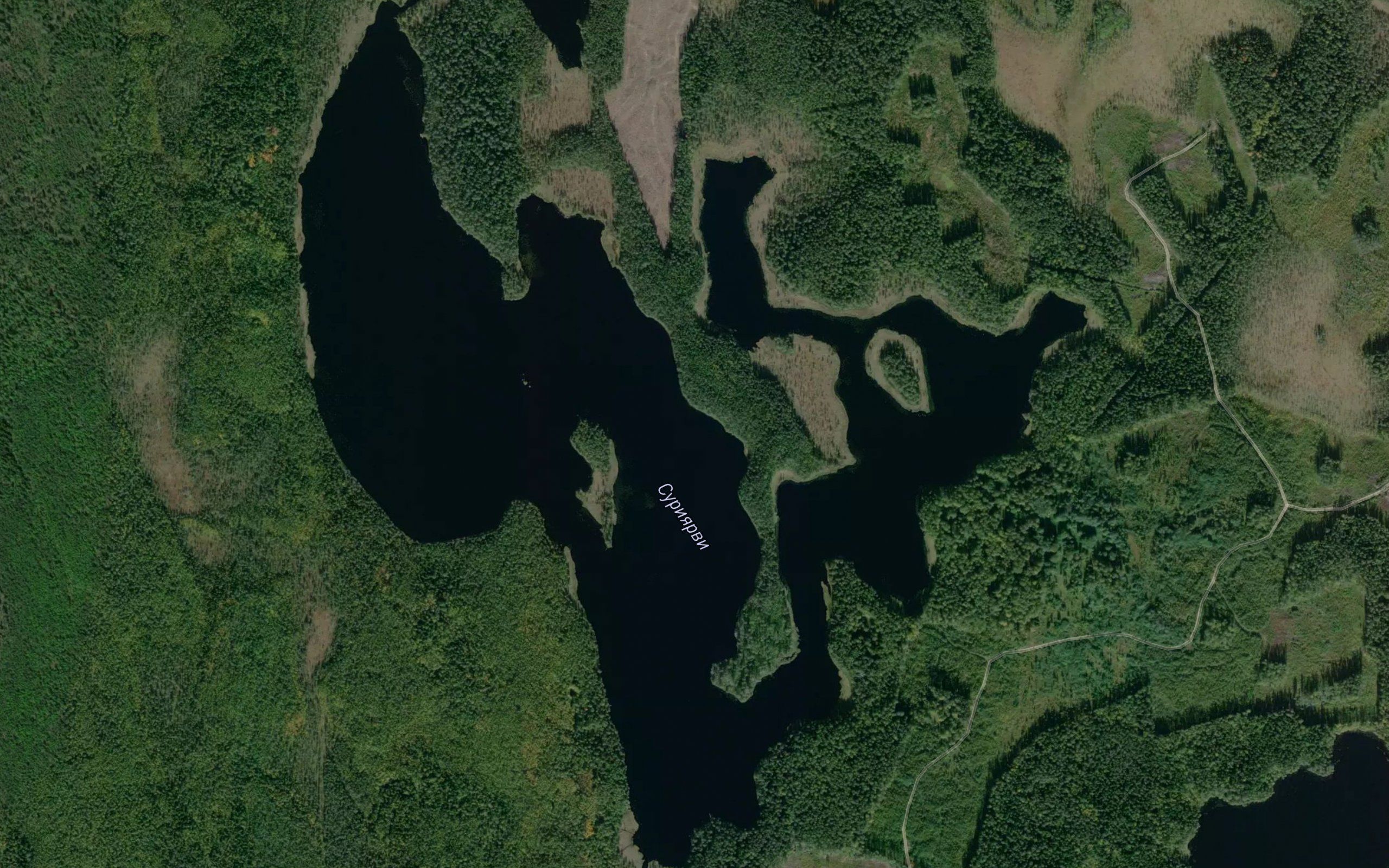 Niskusjaervi