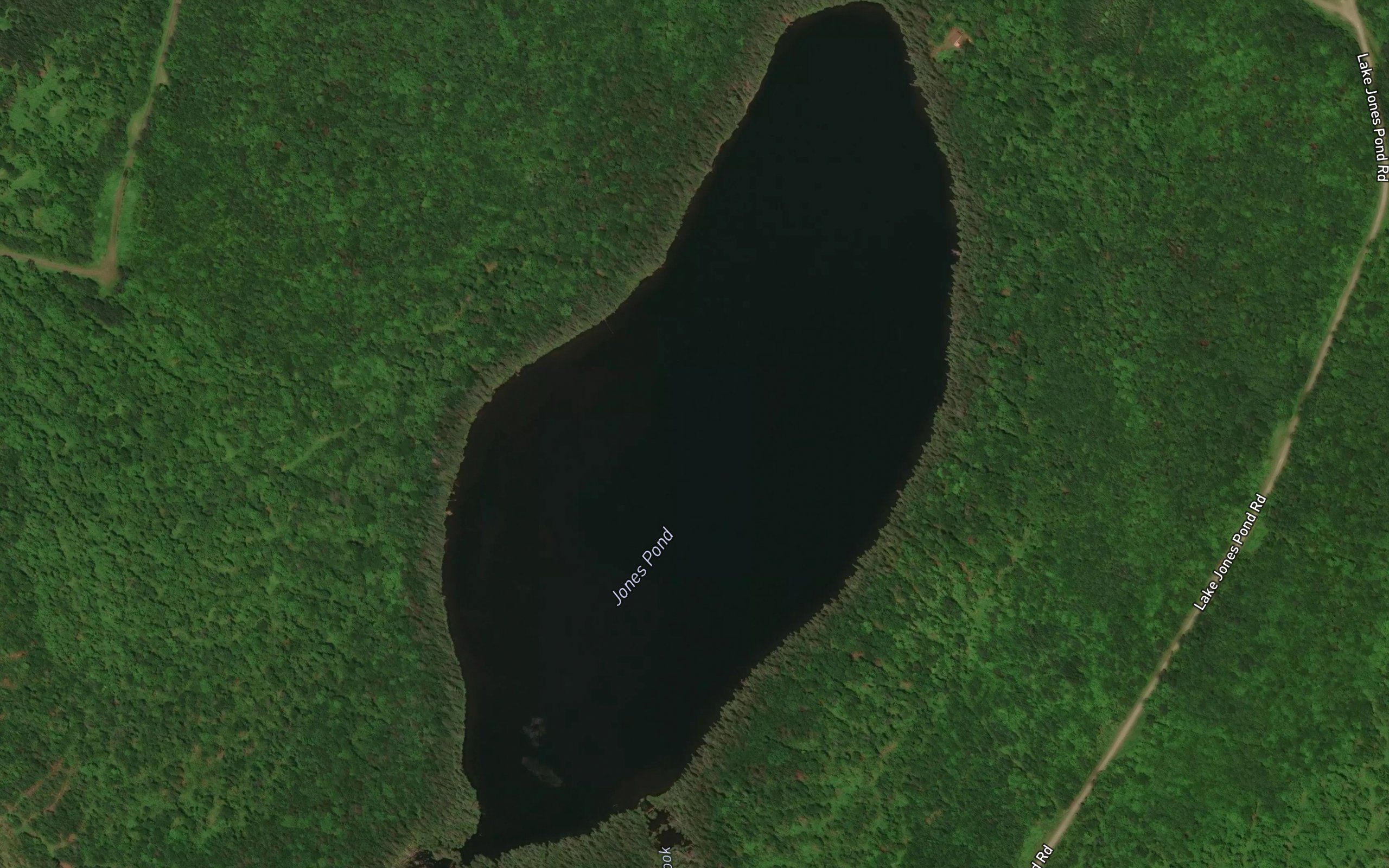 Jones Pond