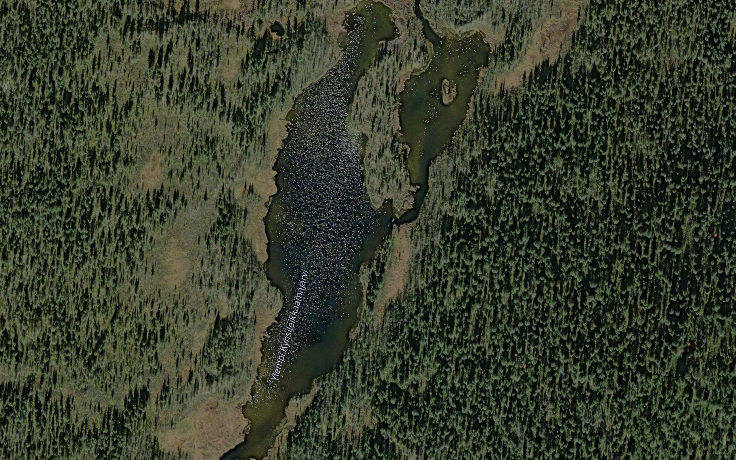 Ylempi Kynsileikkaamajarvi