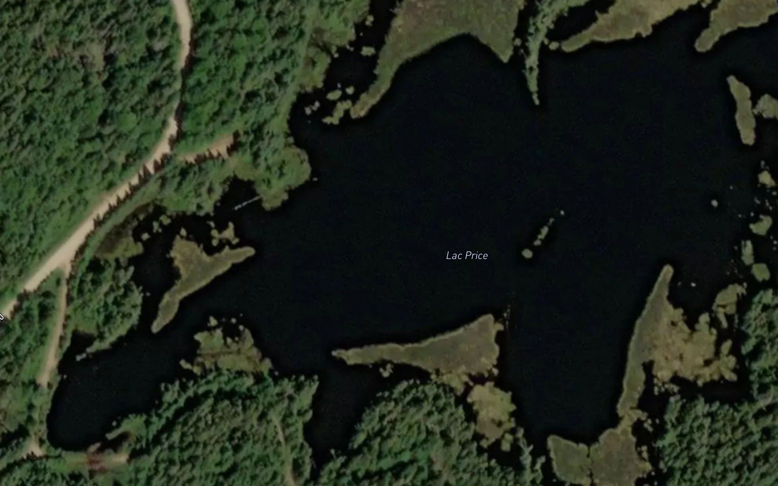 Lac Price