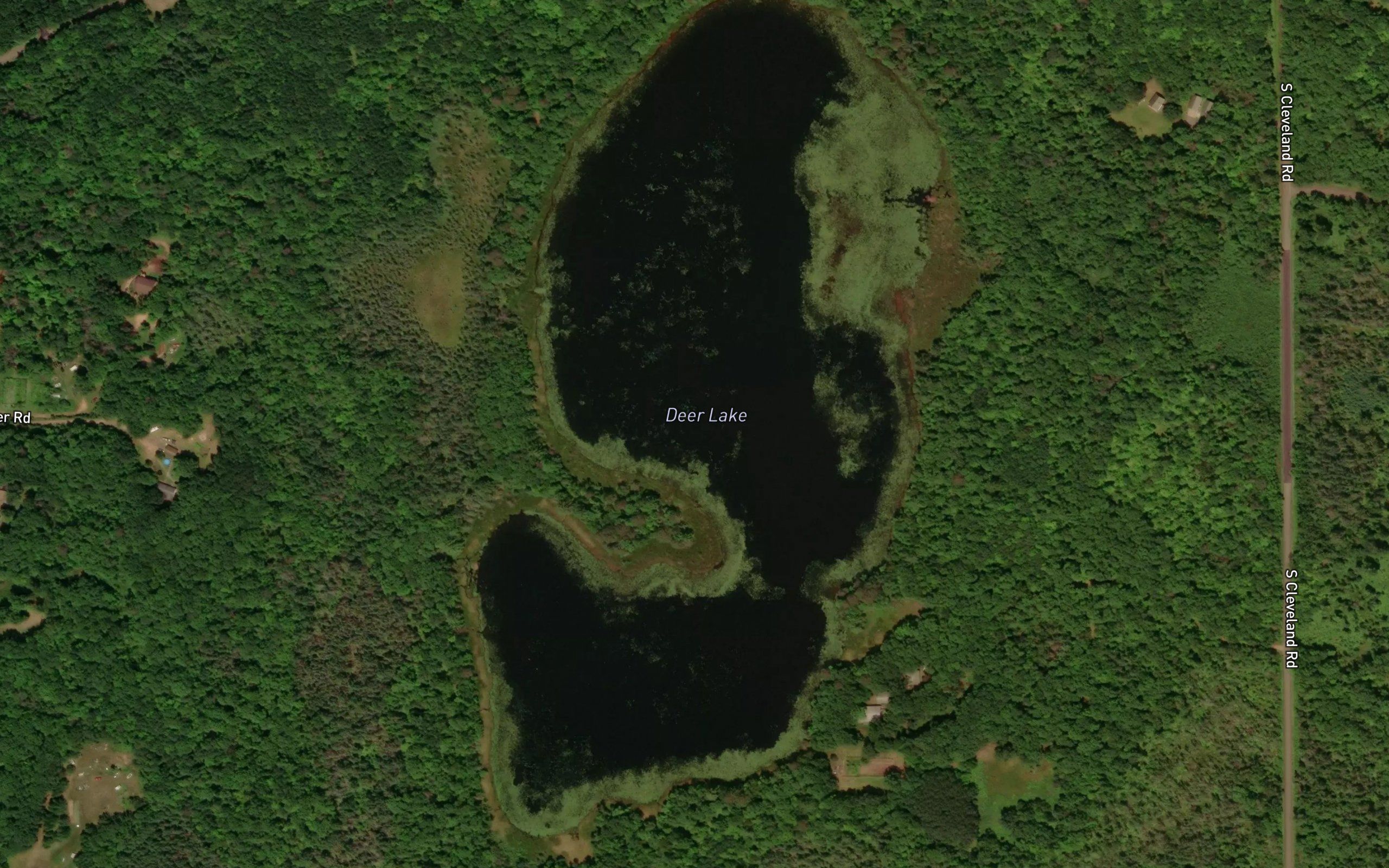 Deer Lake