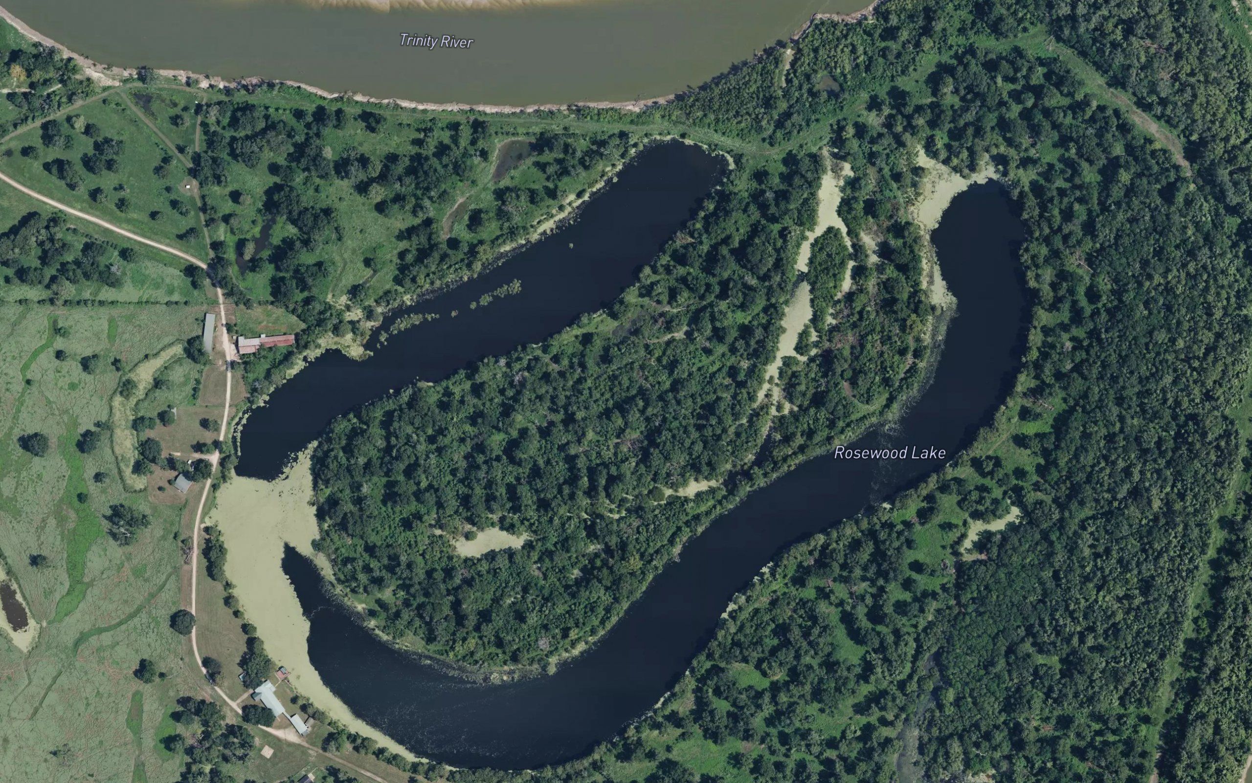 Rosewood Lake
