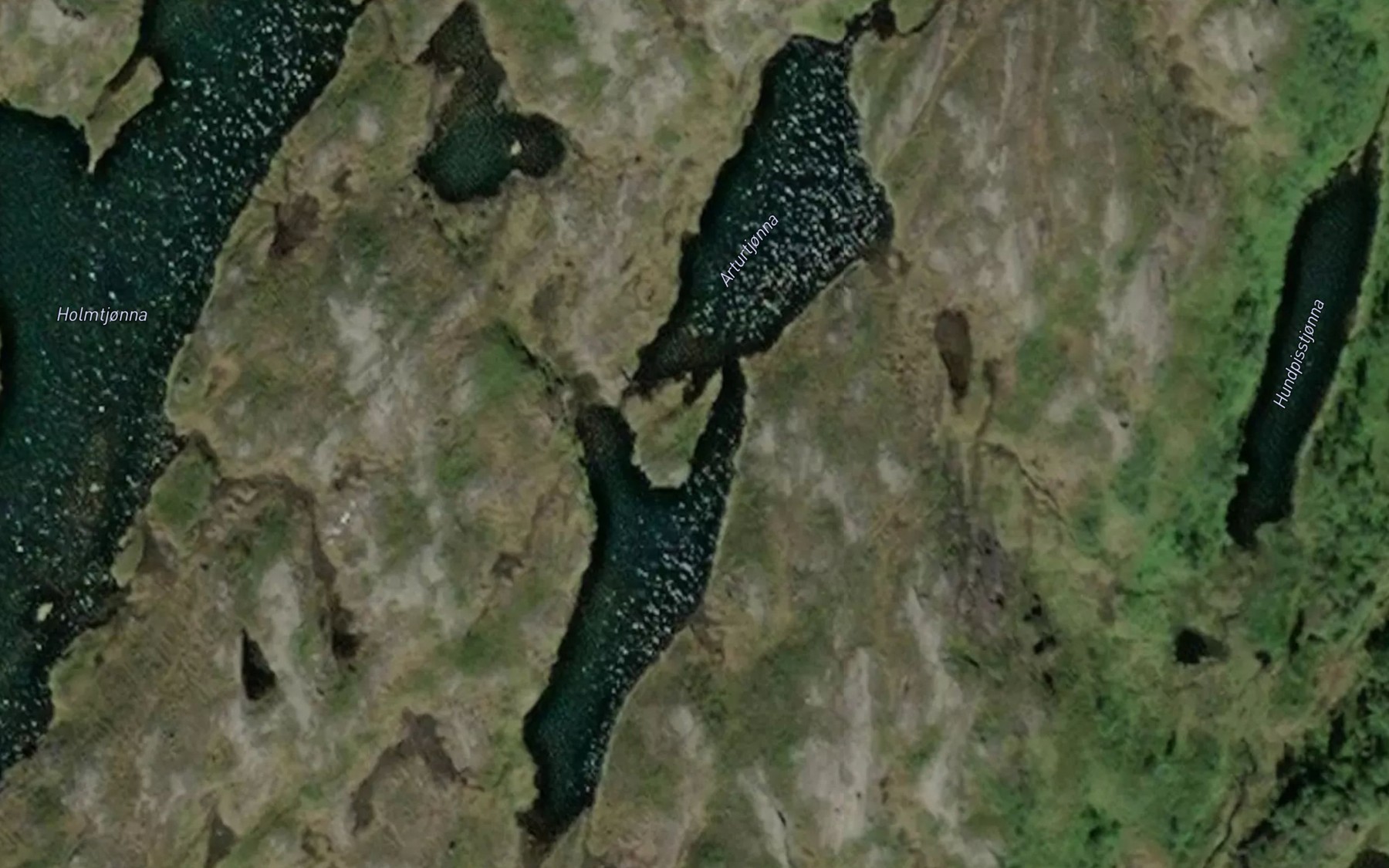 Satellite map of the Arturtjonna
