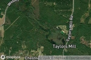 Taylors Pond