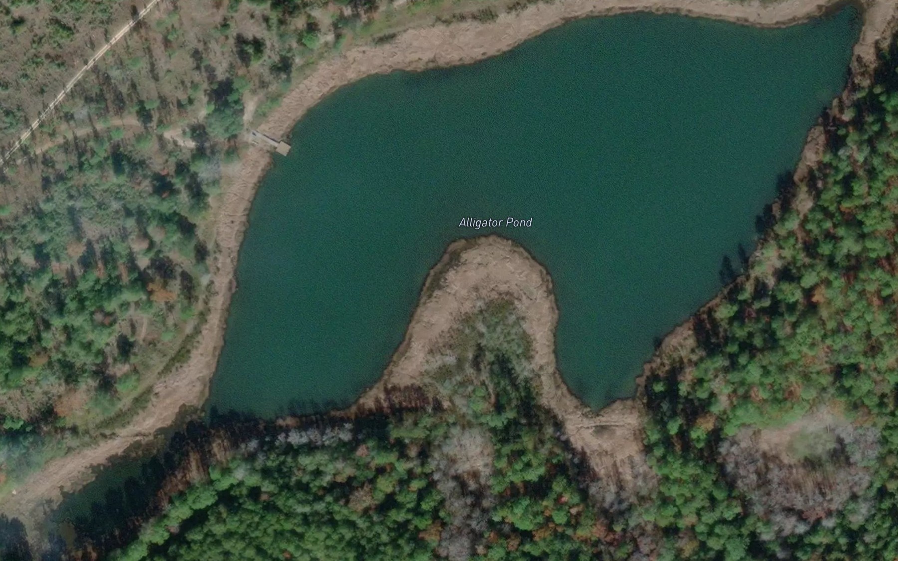Satellite map of the Alligator Pond