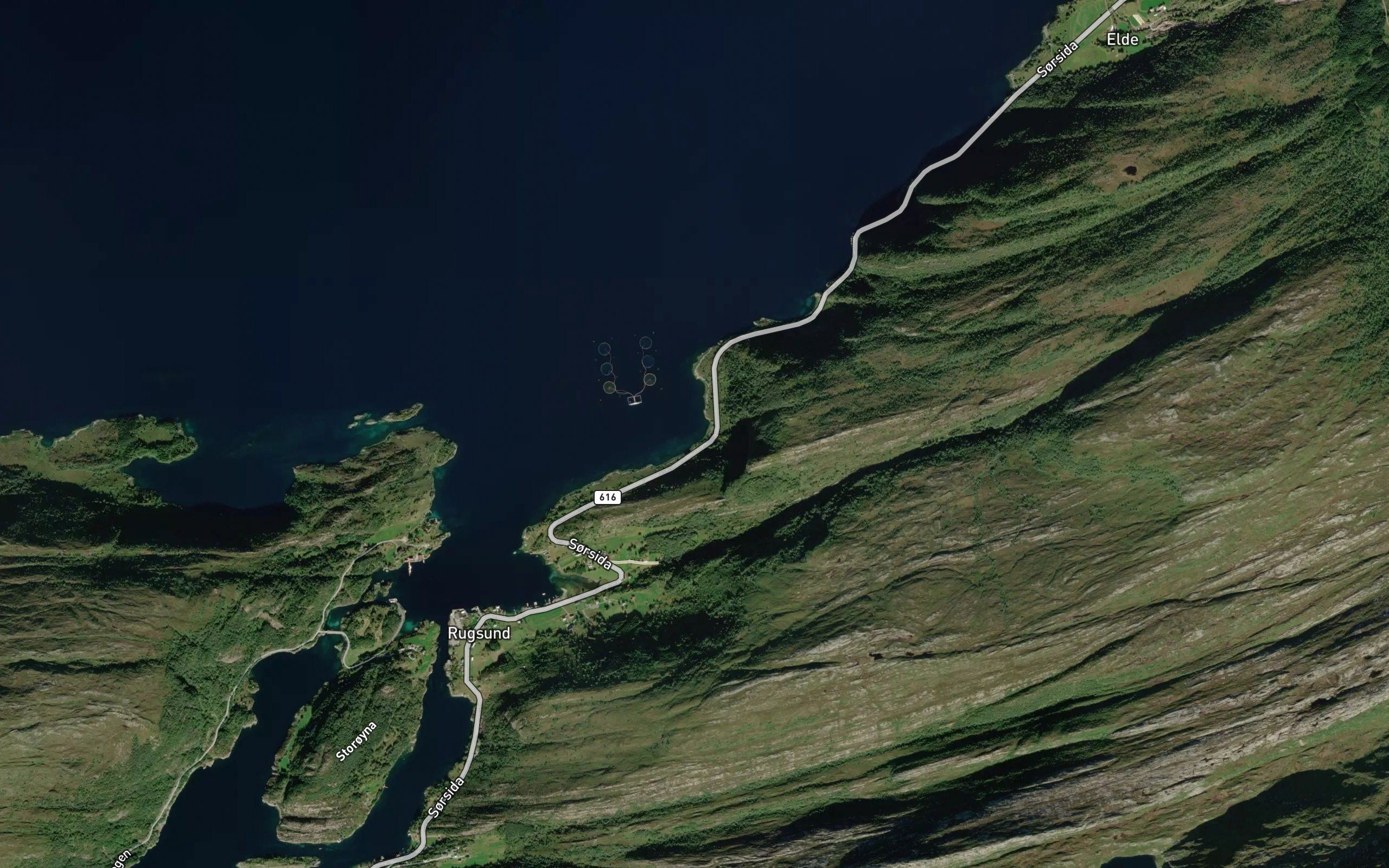 Grunnesvika