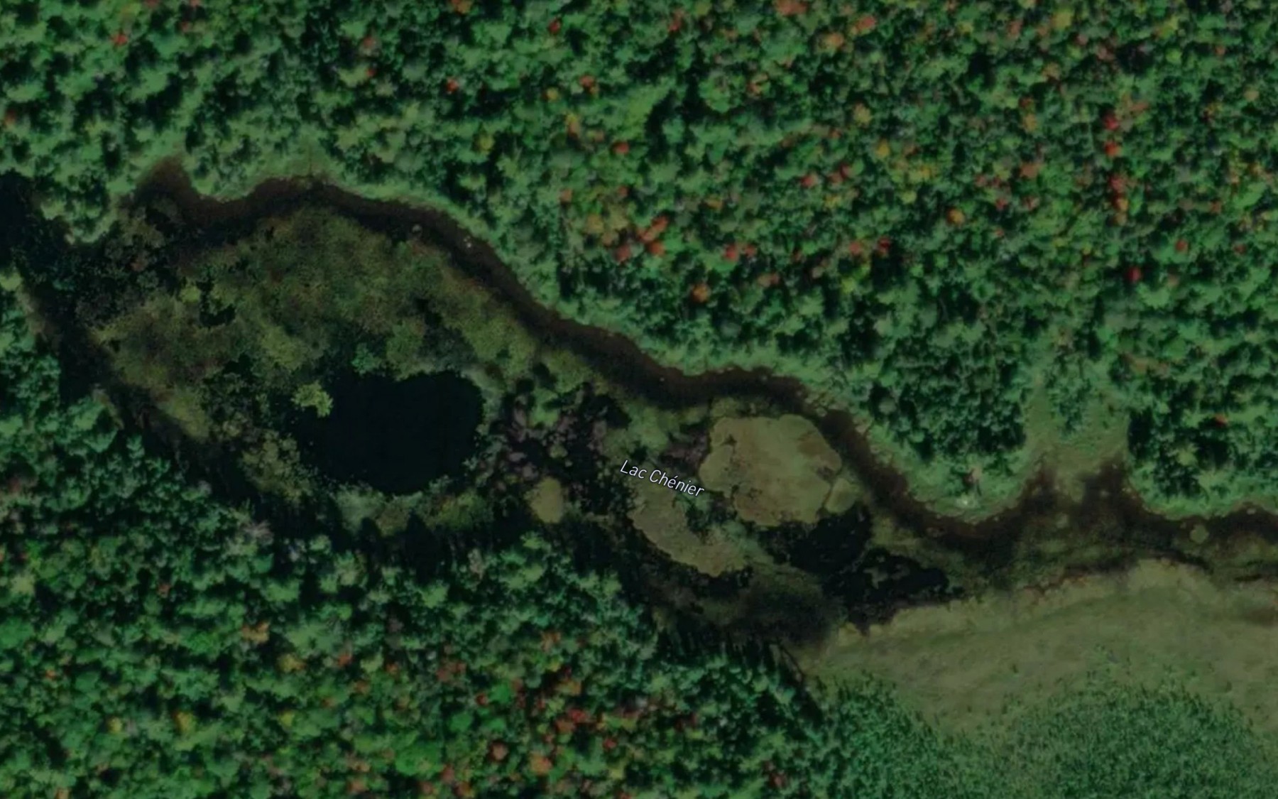 Satellite map of the Lac Chenier