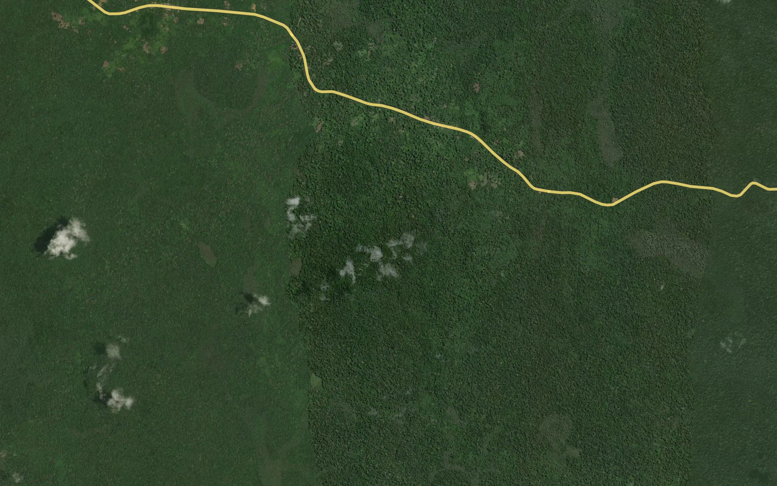 Ngonazo