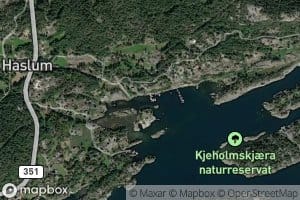 Skutevika