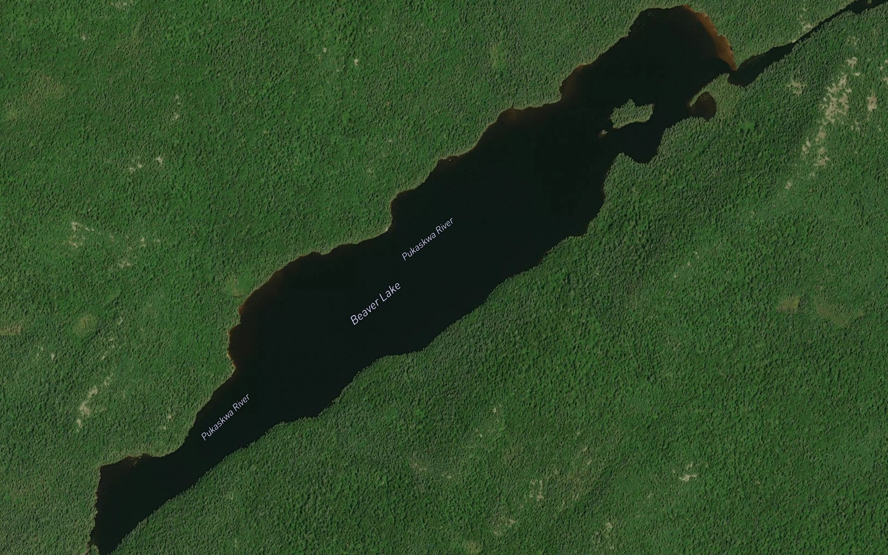Satellite map of the Beaver Lake