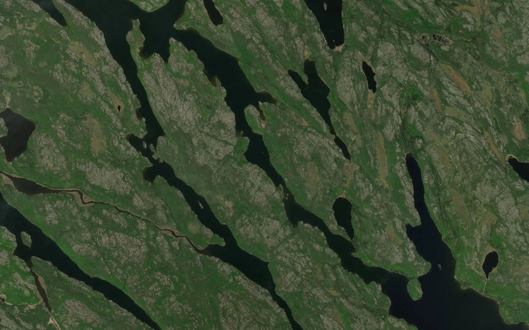 Satellite map of the Cairns Lake