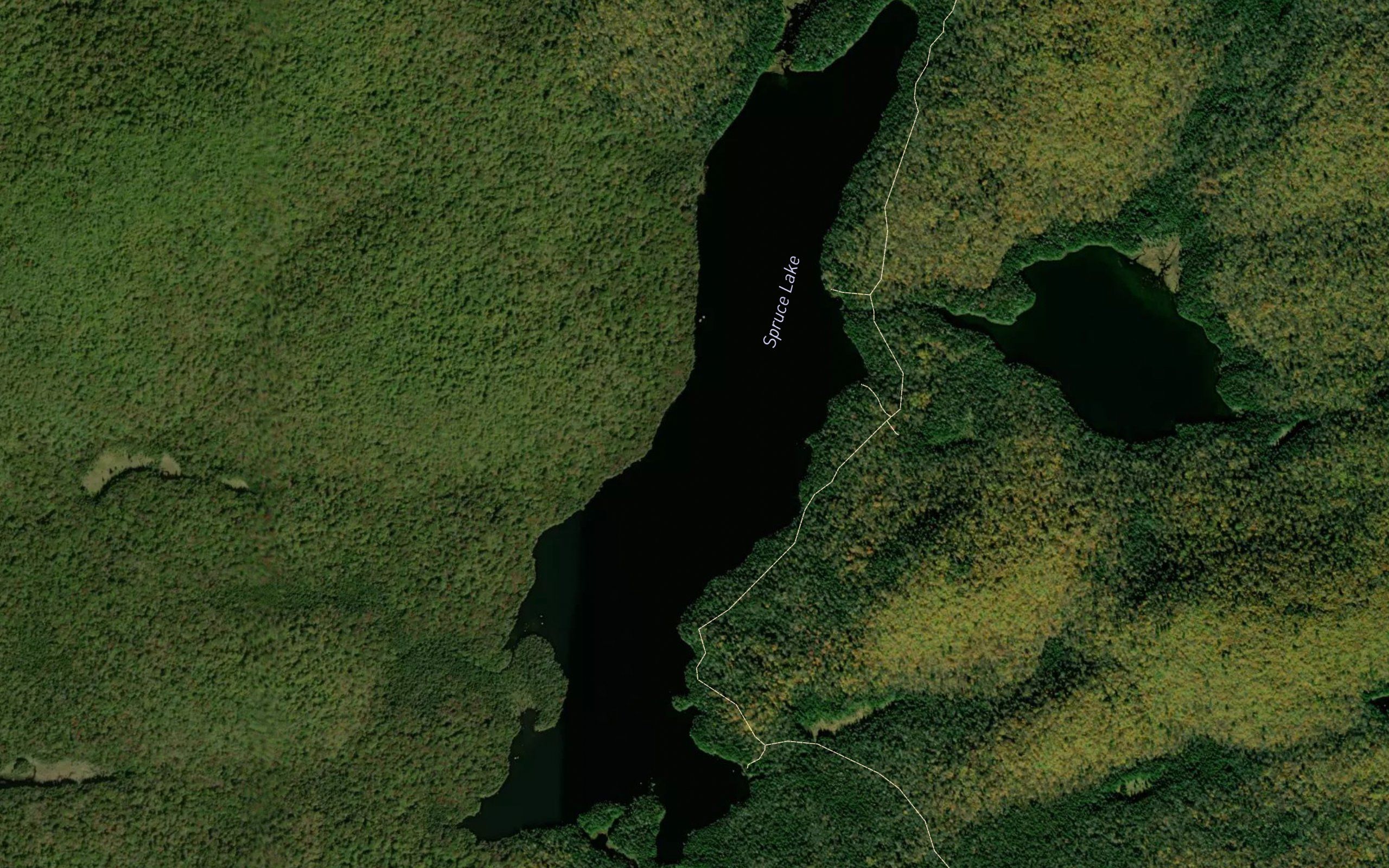 Spruce Lake