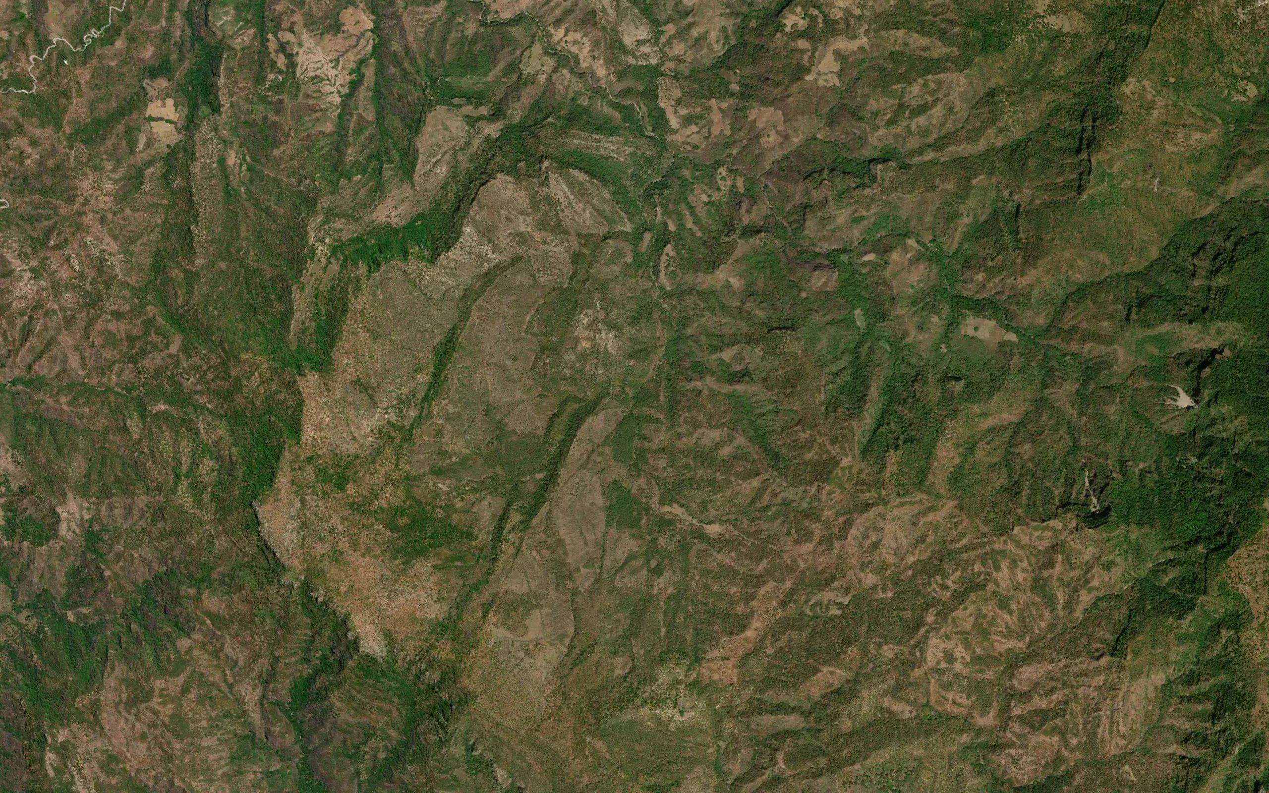 Arroyo los Pinos