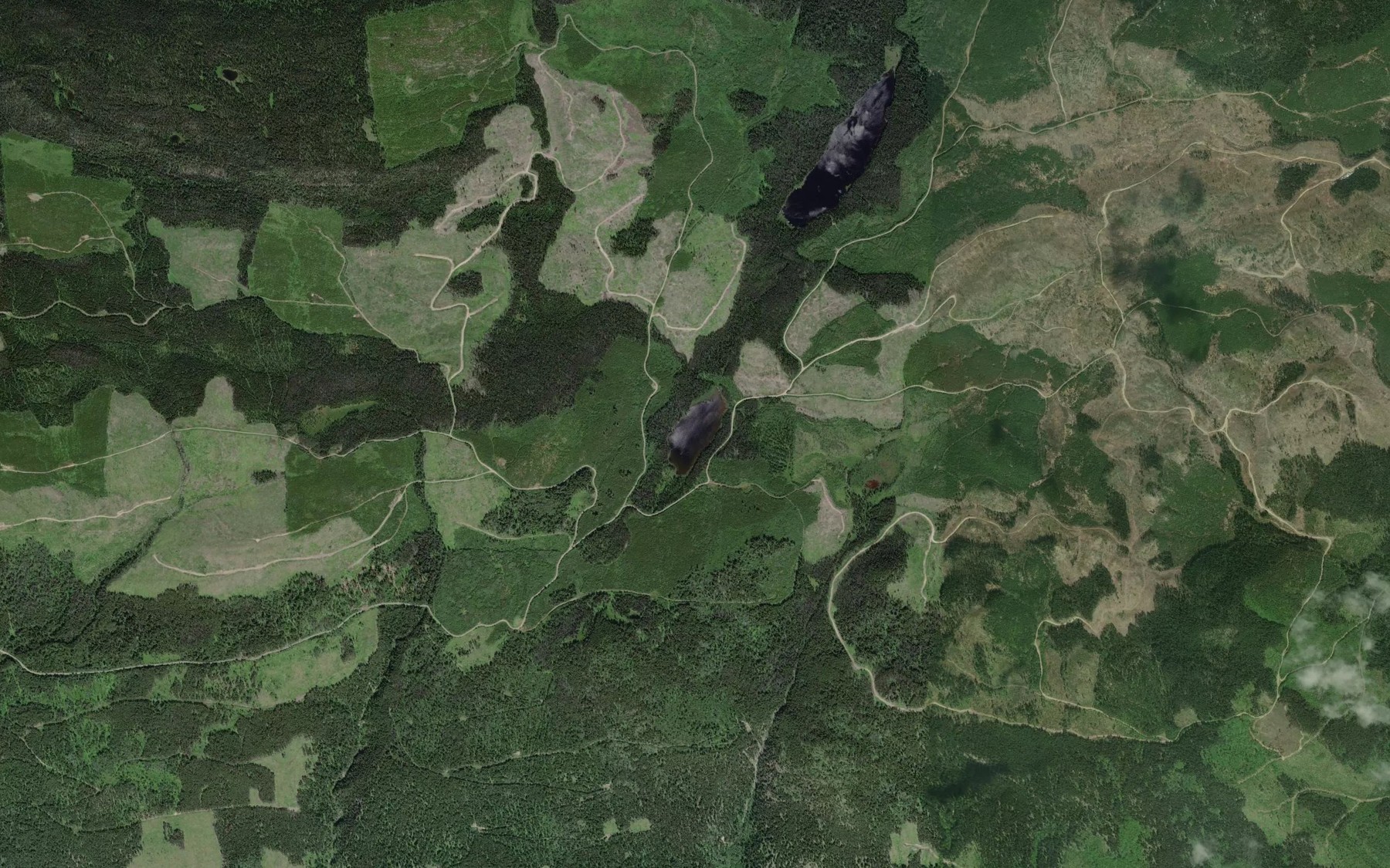 Satellite map of the McCorvie Lake
