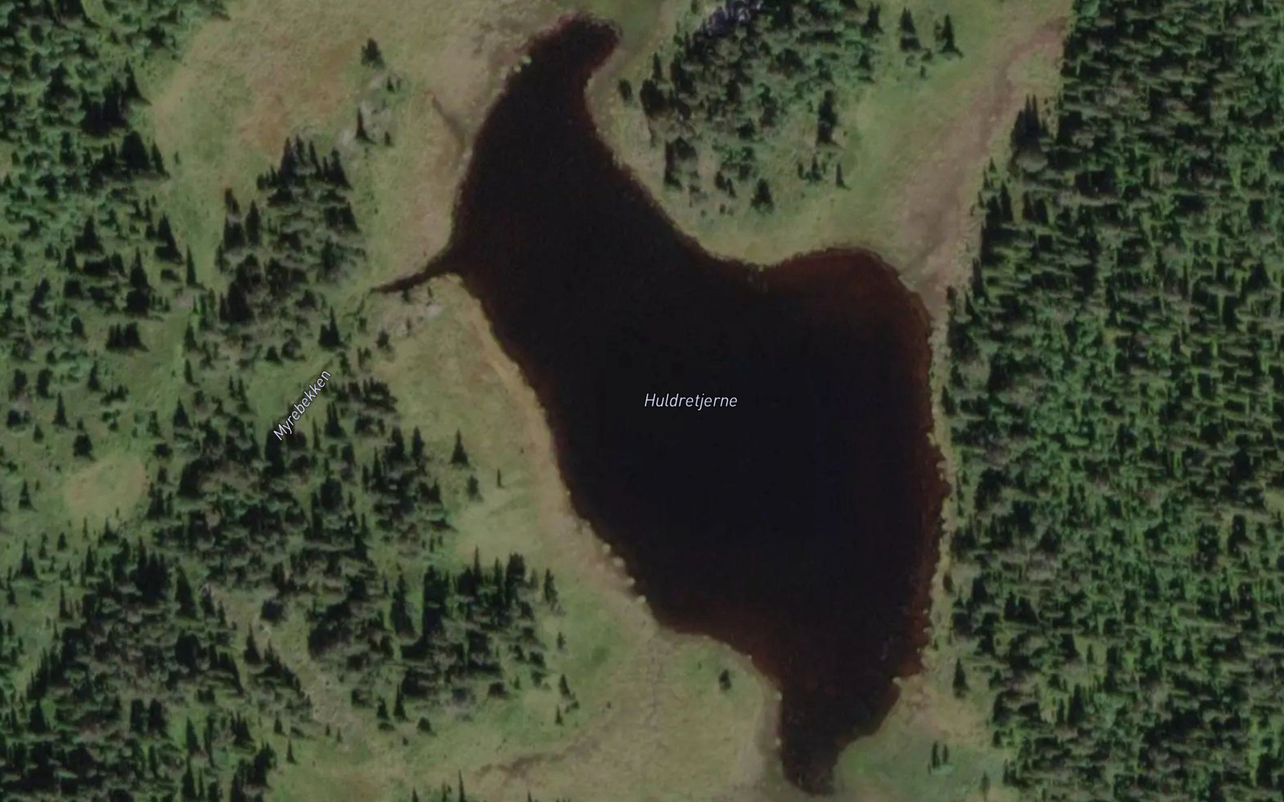 Huldretjern