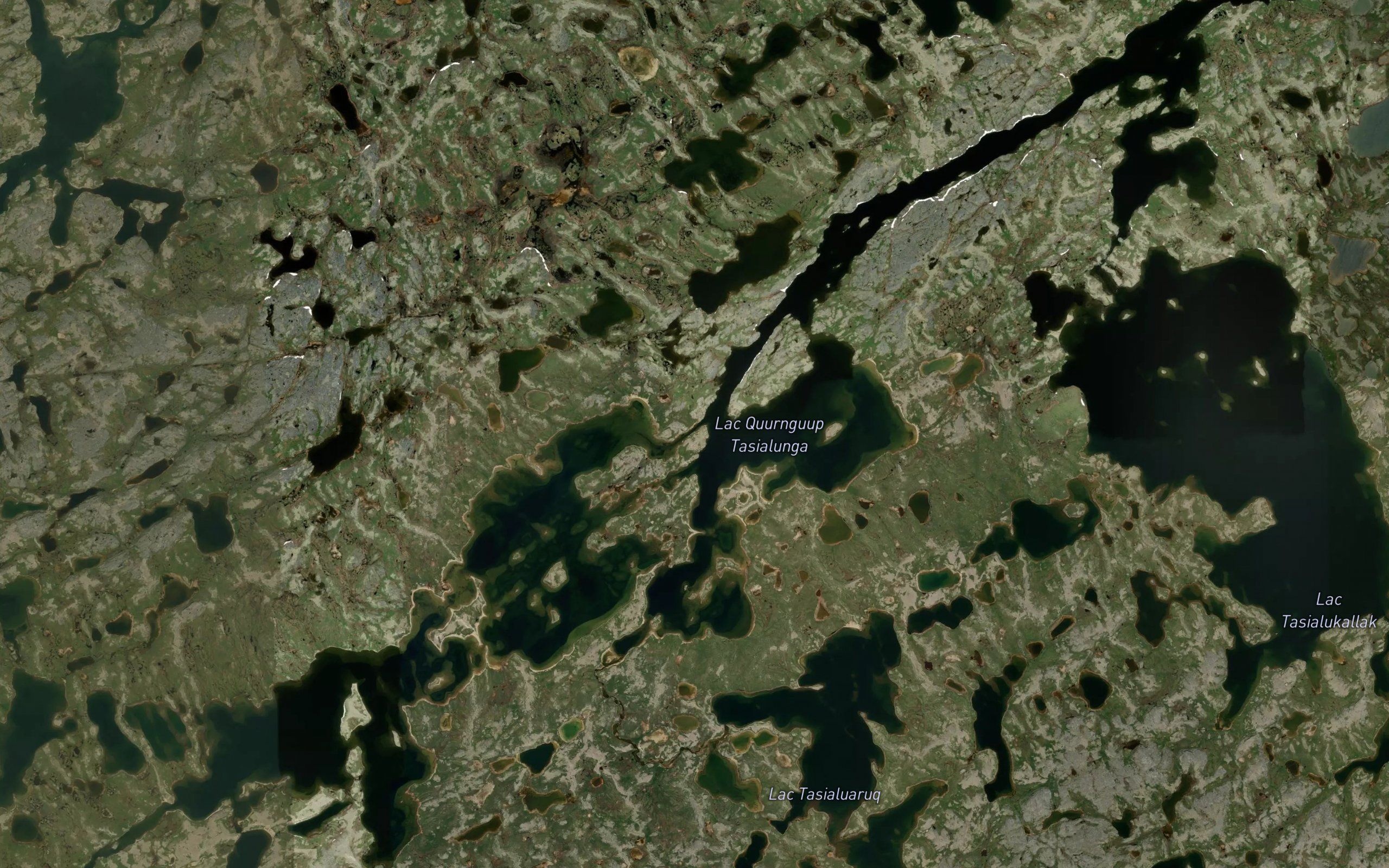 Lac Quurnguup Tasialunga