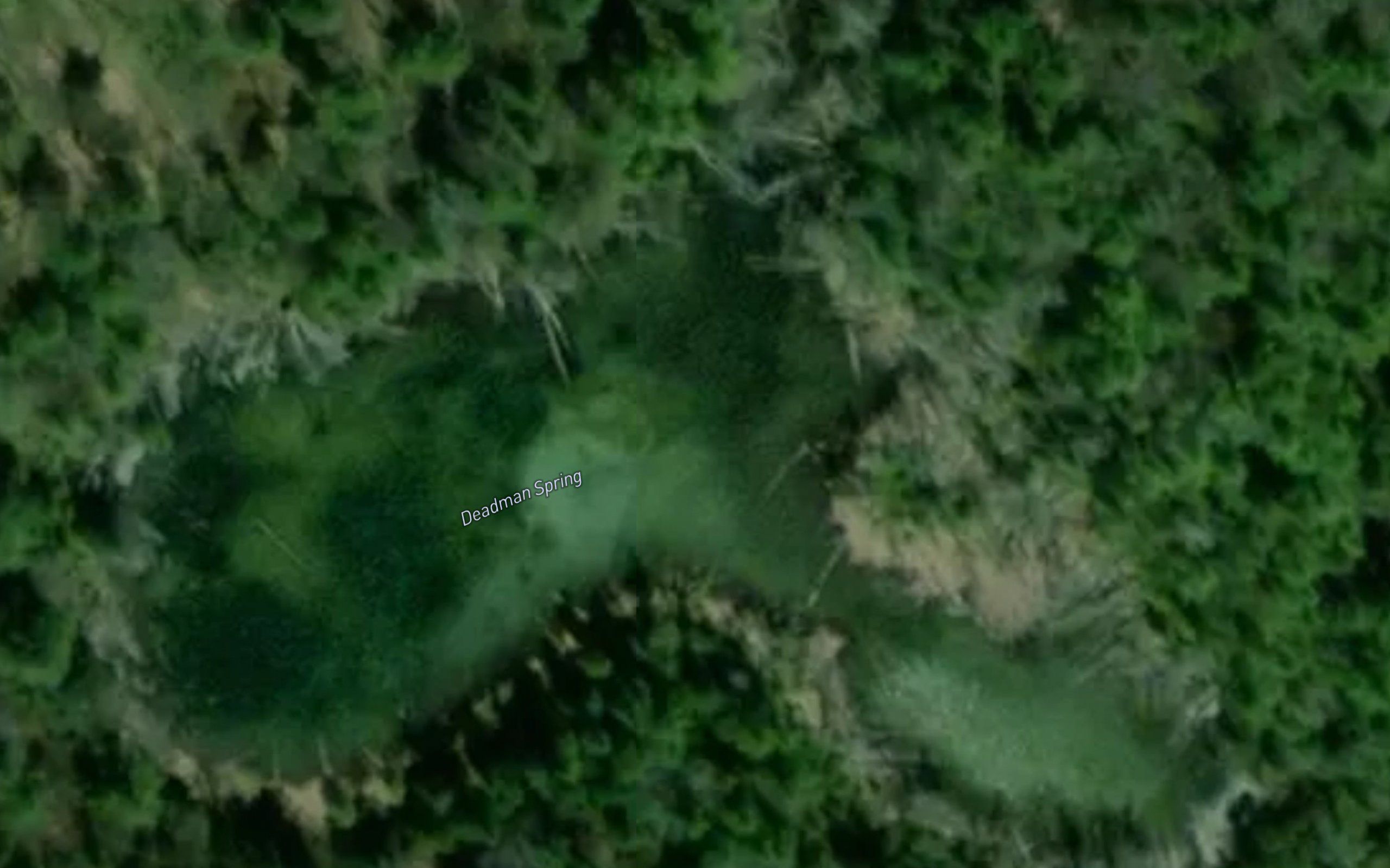 Deadman Spring