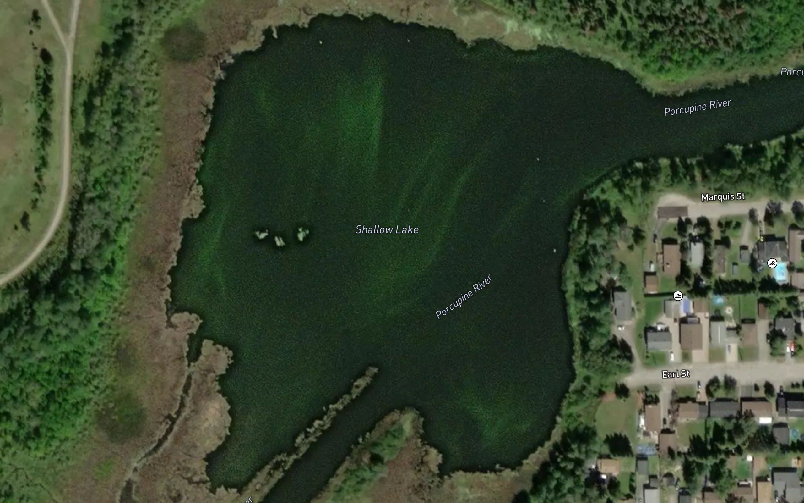 Shallow Lake