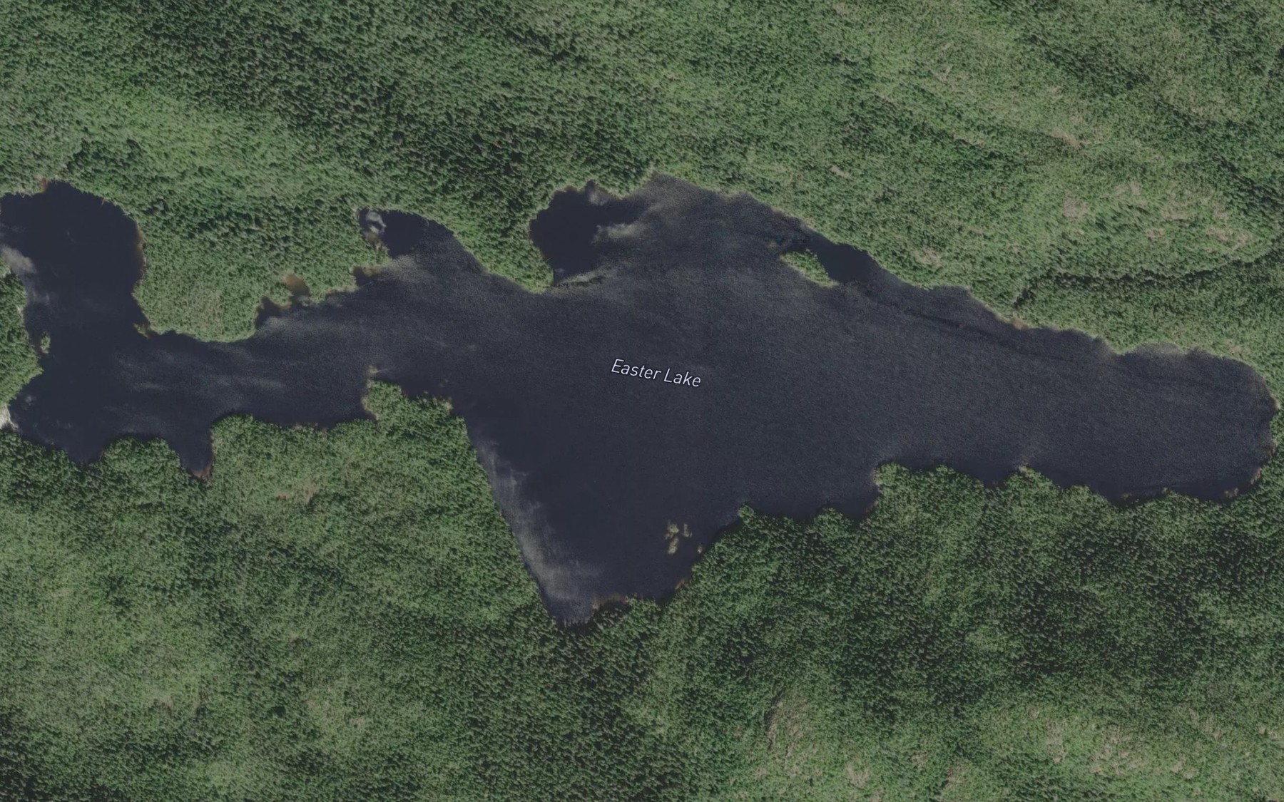 Satellite map of the Easter Lake
