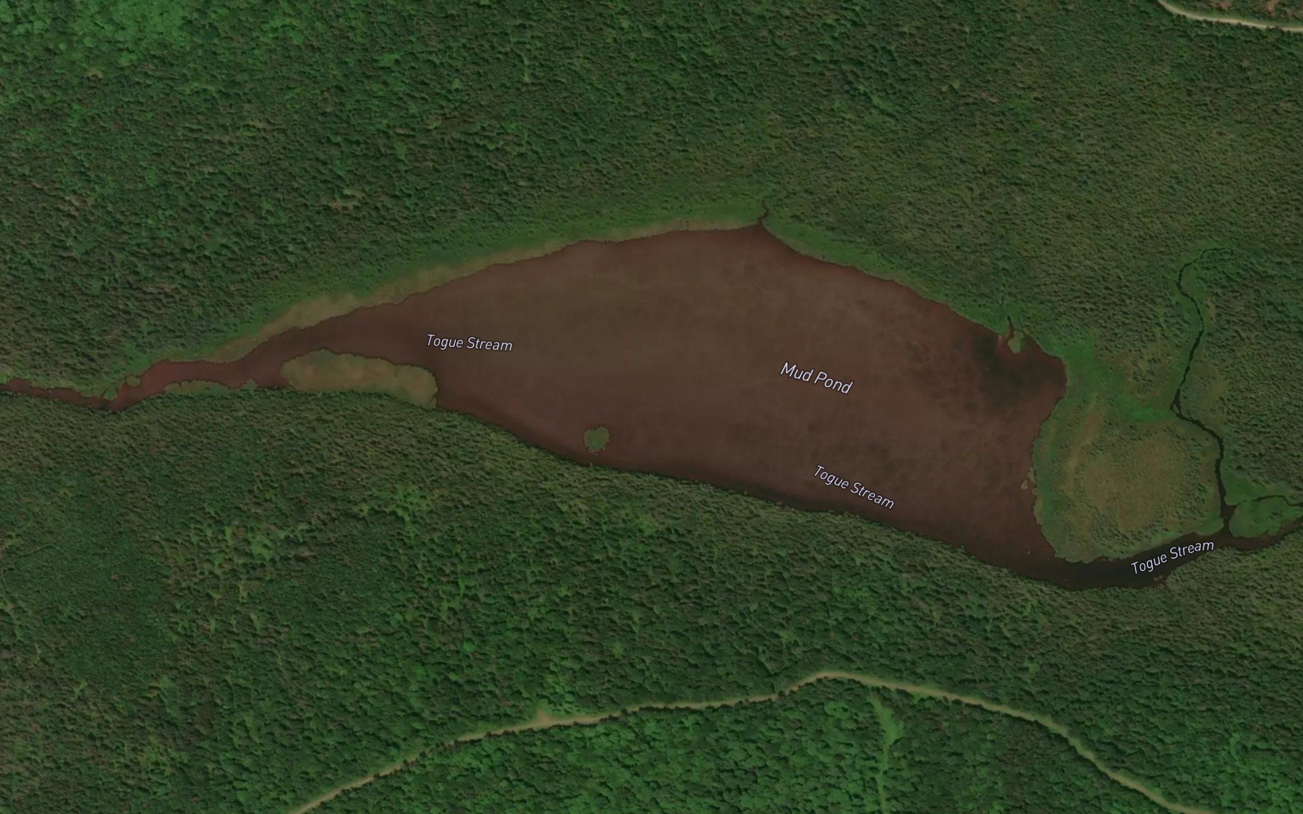 Mud Pond