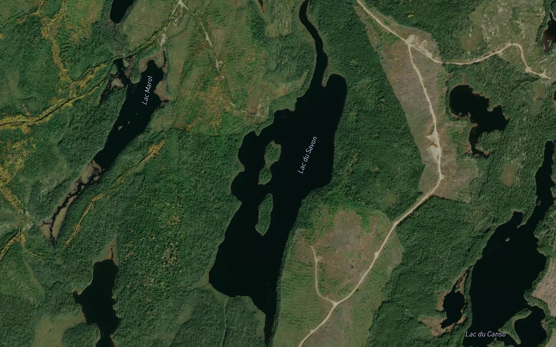 Satellite map of the Lac du Savon