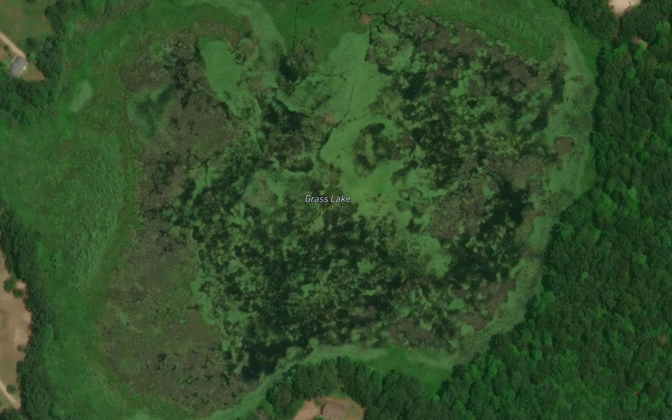 Grass Lake