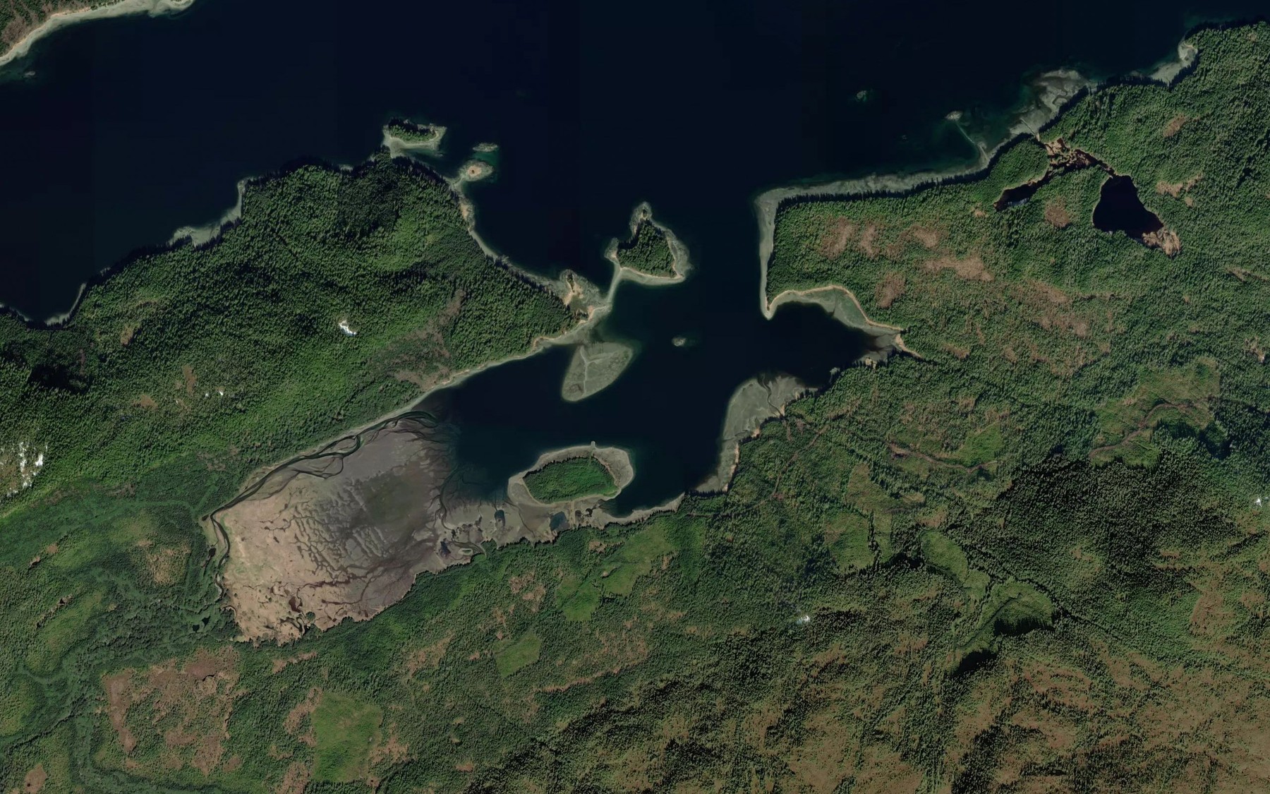 Satellite map of the Appleton Cove