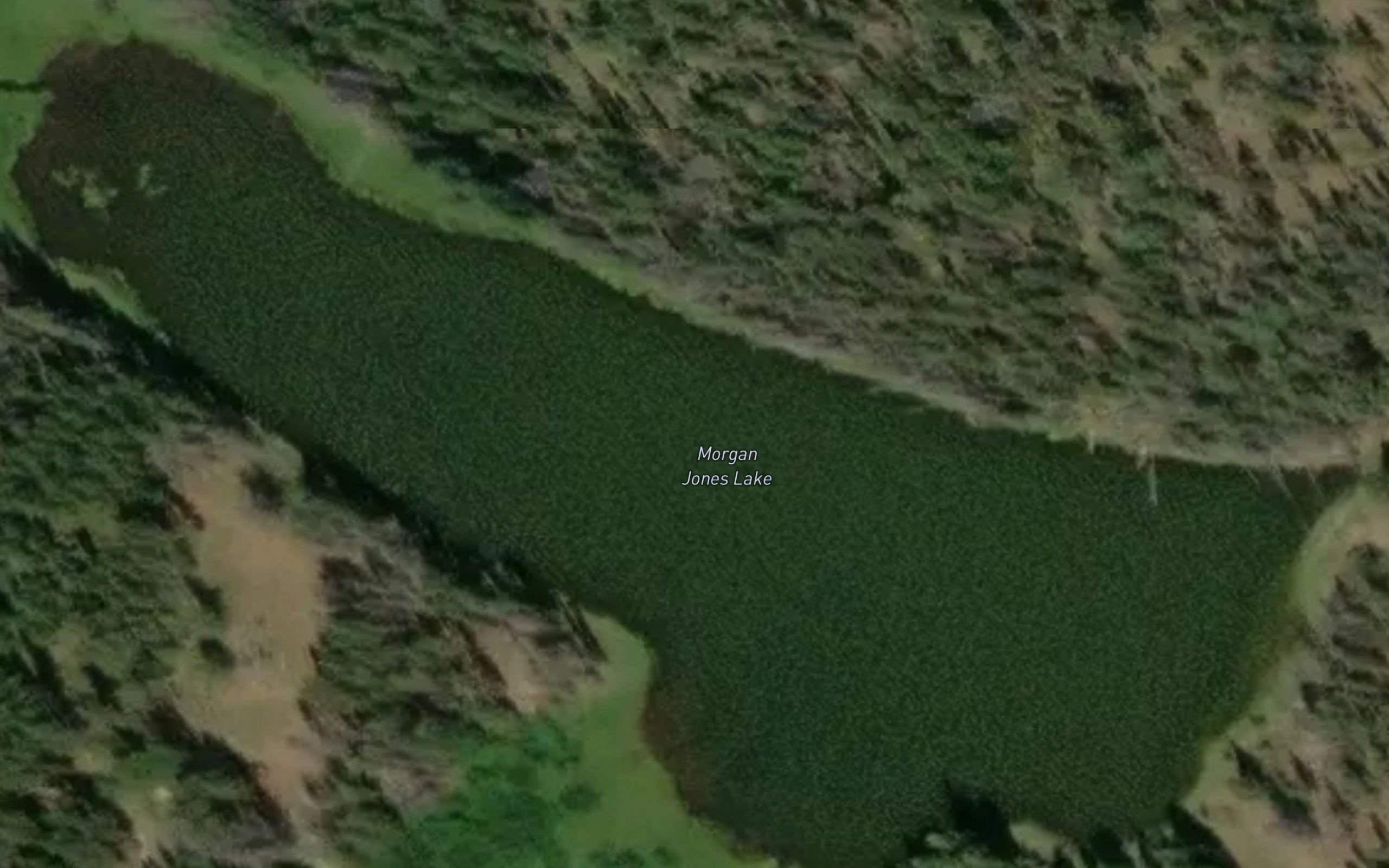 Morgan Jones Lake