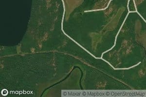 Octopus Creek