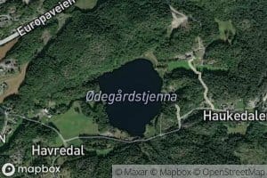Odegardstjenna