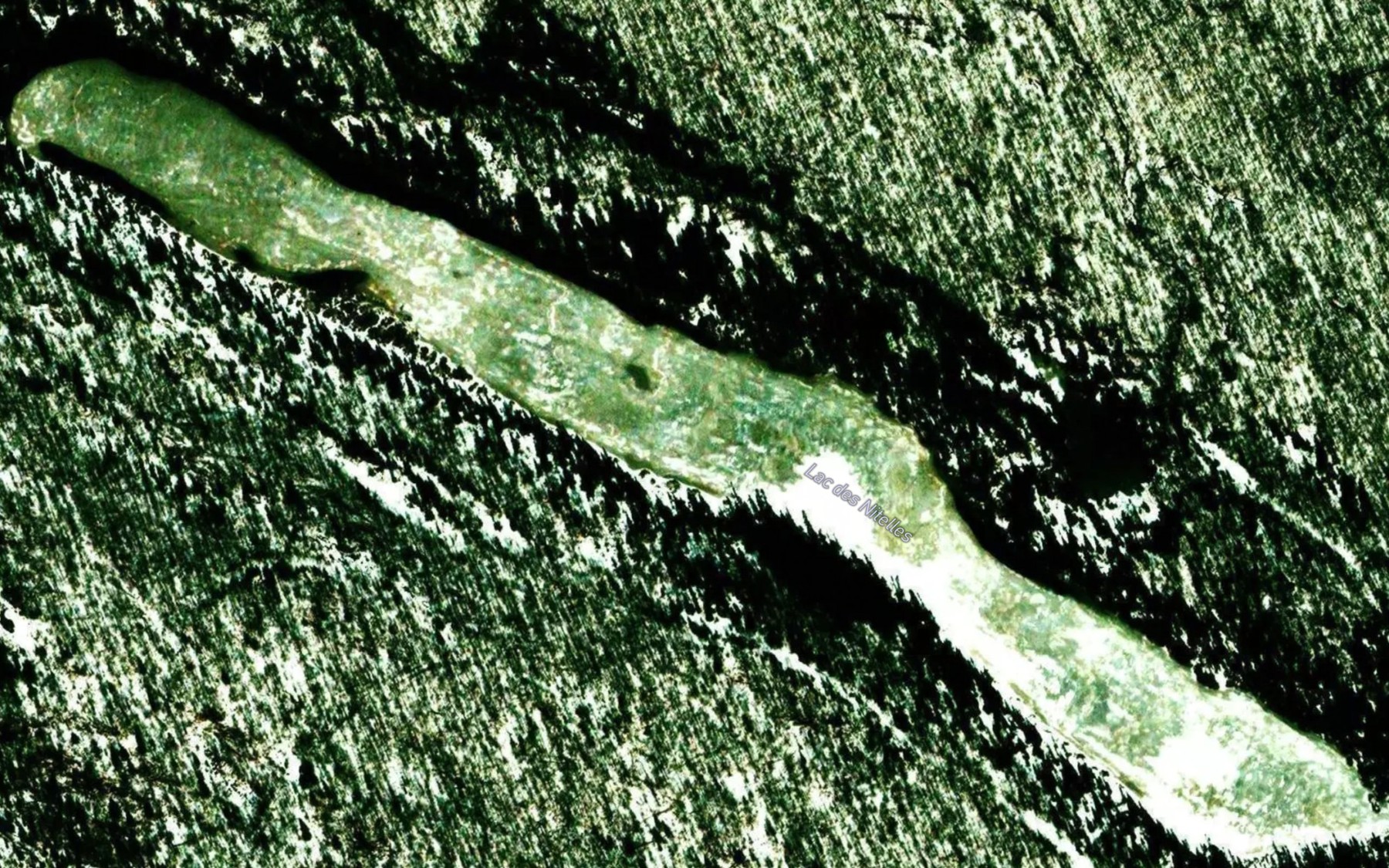 Satellite map of the Lac des Nitelles
