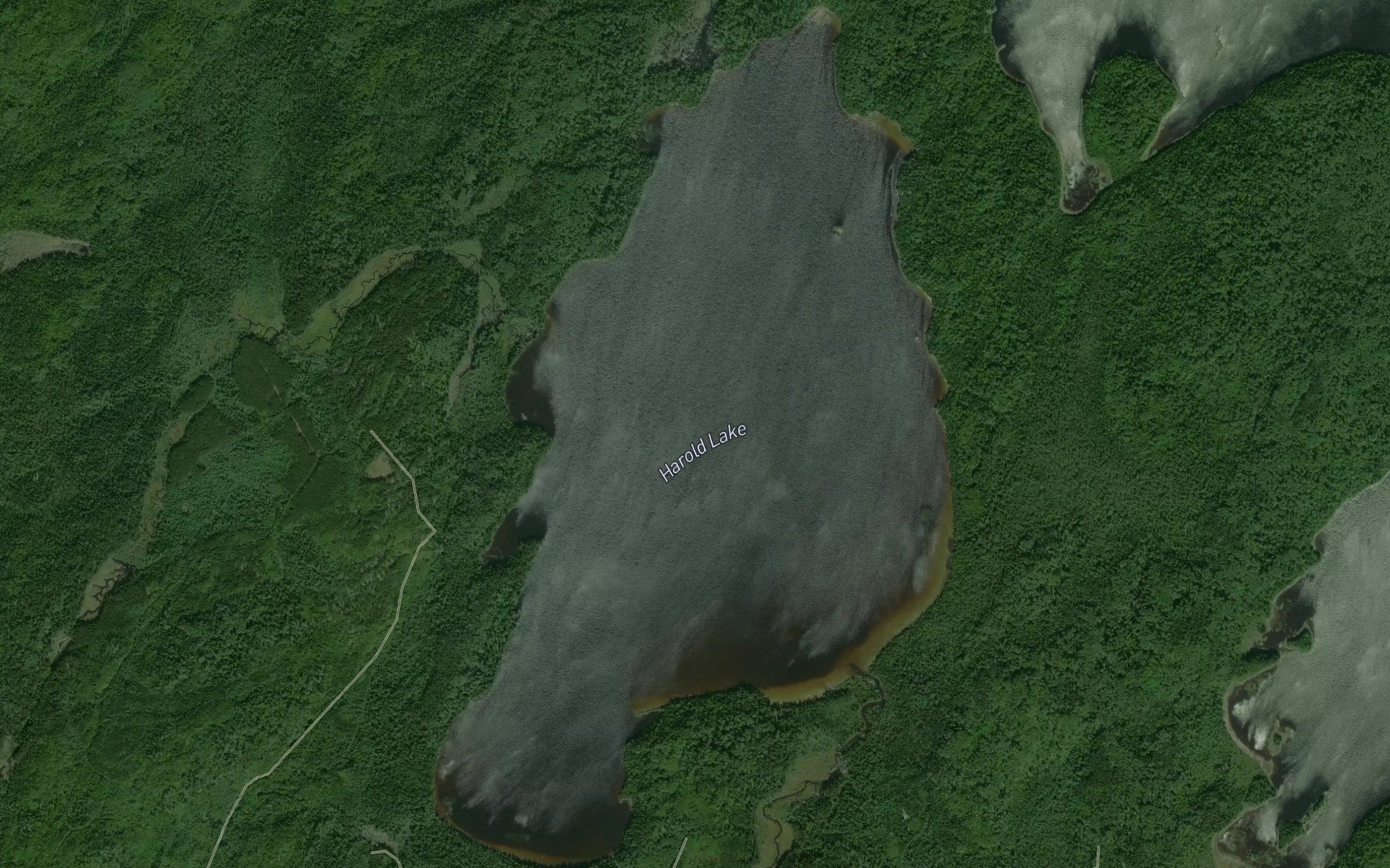 Satellite map of the Harold Lake