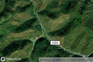 Right Fork Big Branch