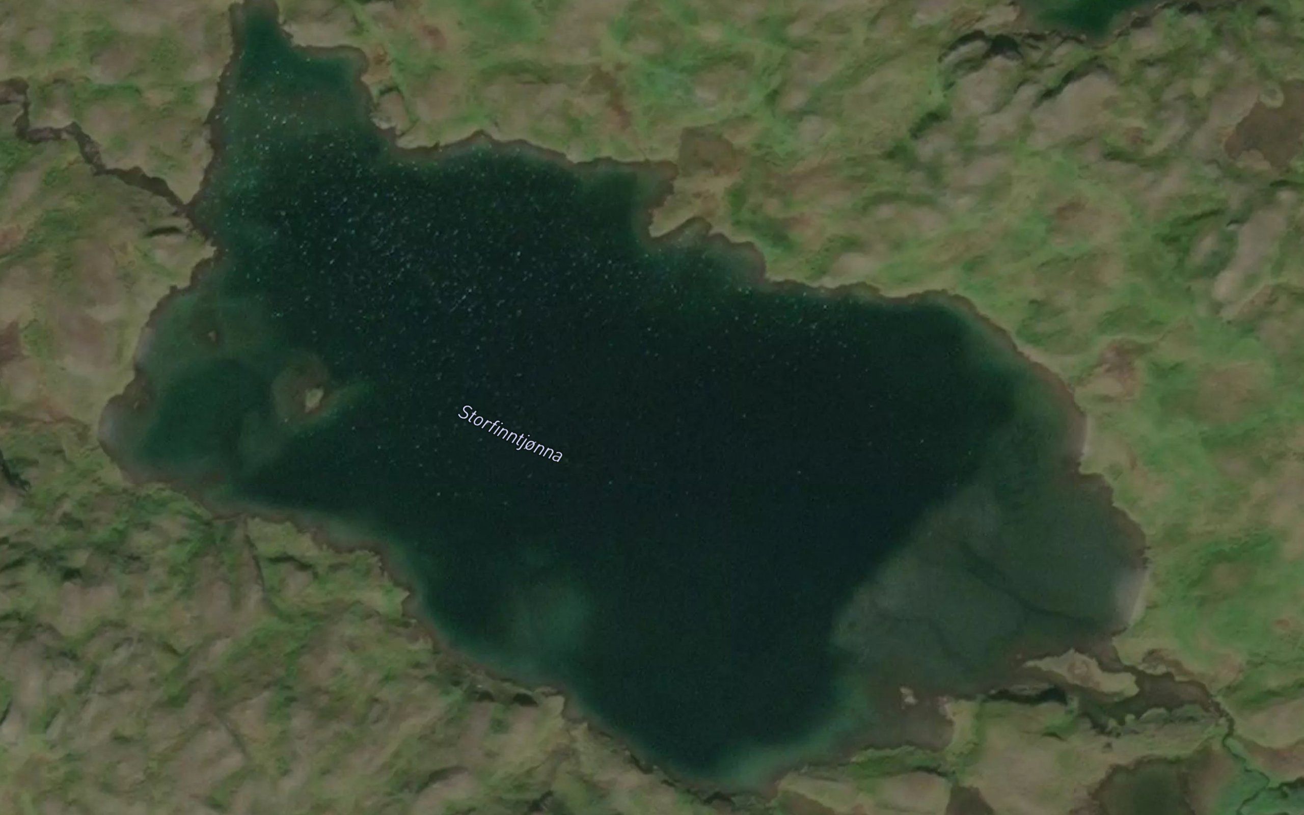 Storfinntjorna