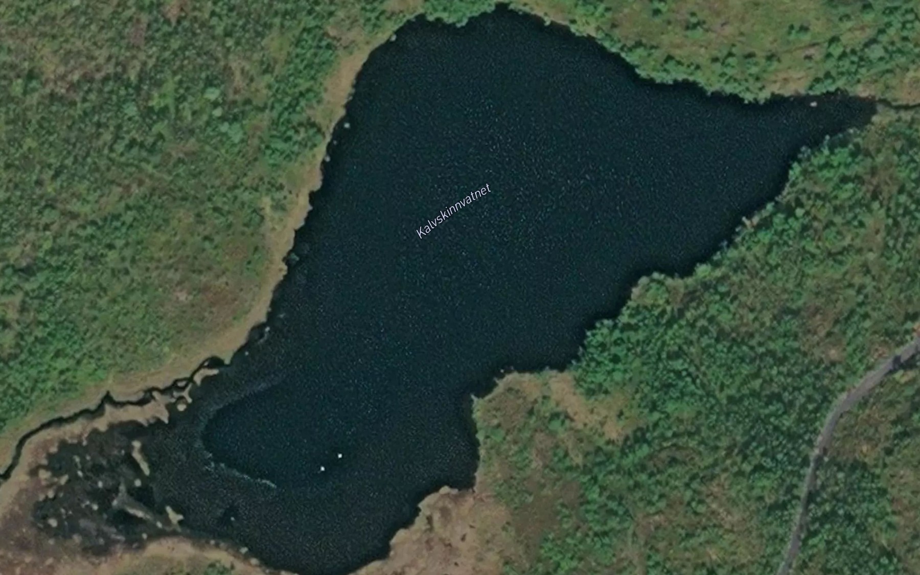 Satellite map of the Kalvskinnvatnet