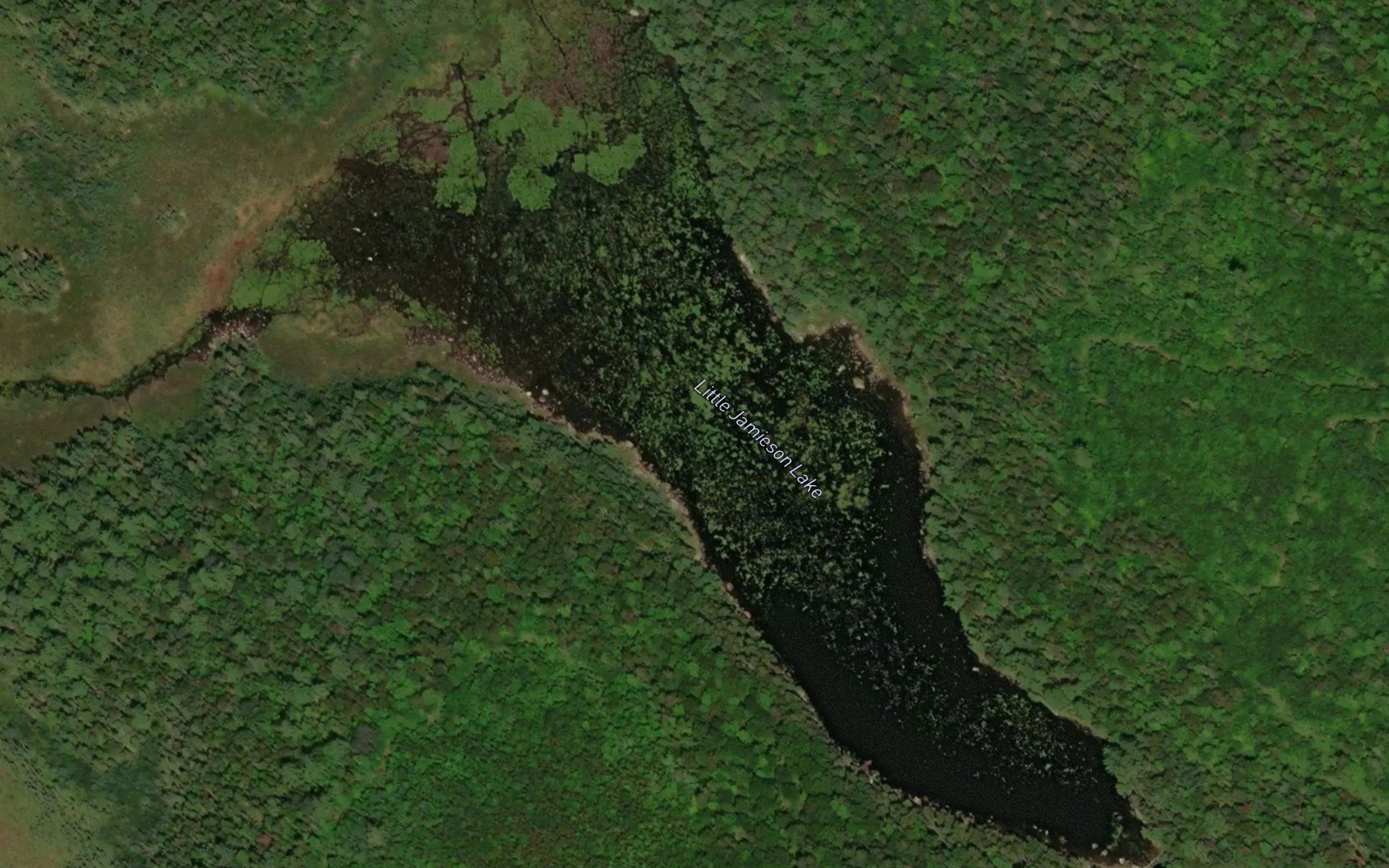 Little Jamieson Lake