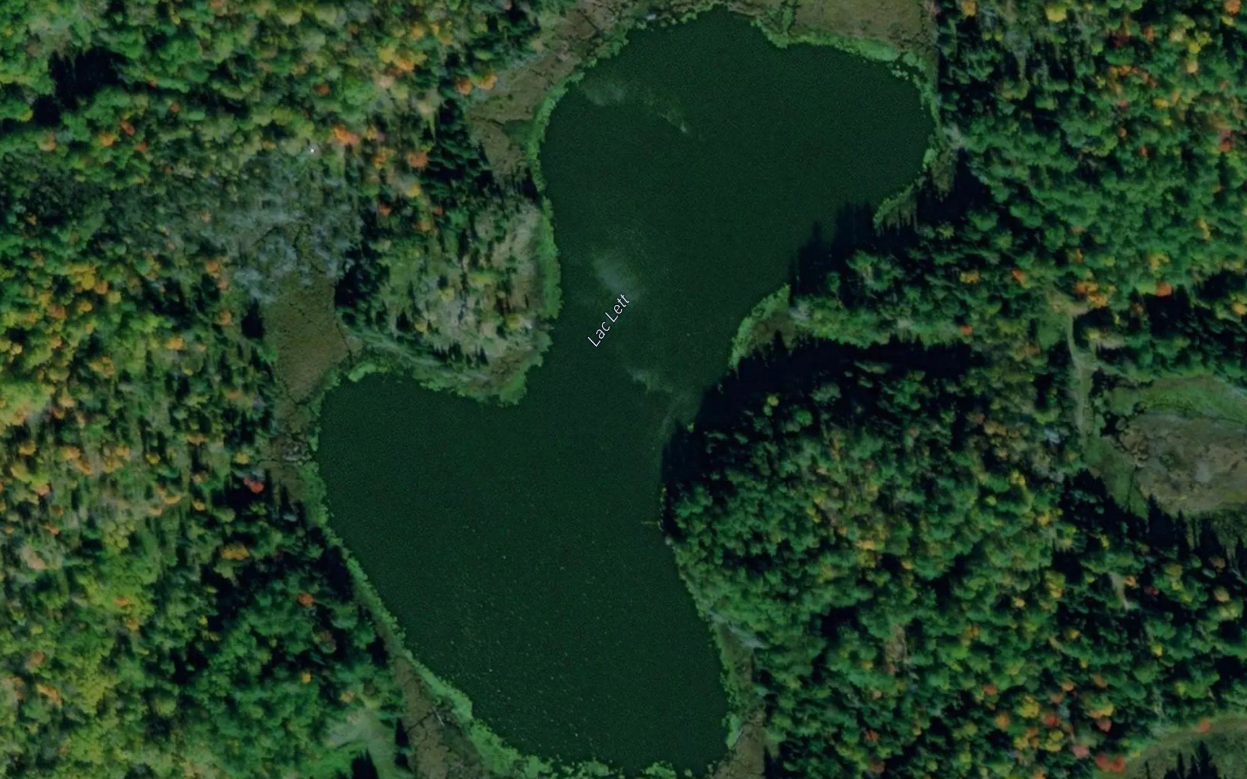 Lac Lett