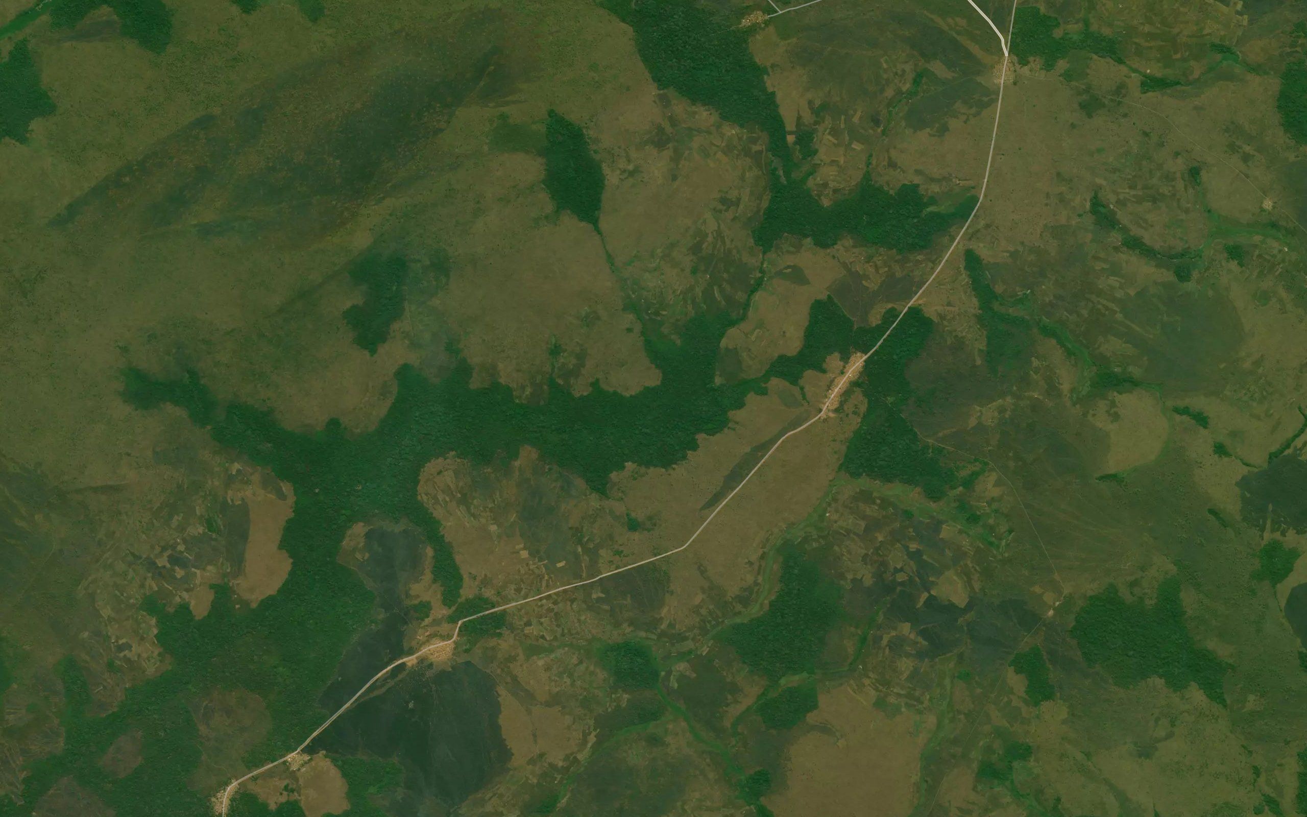 Ngala