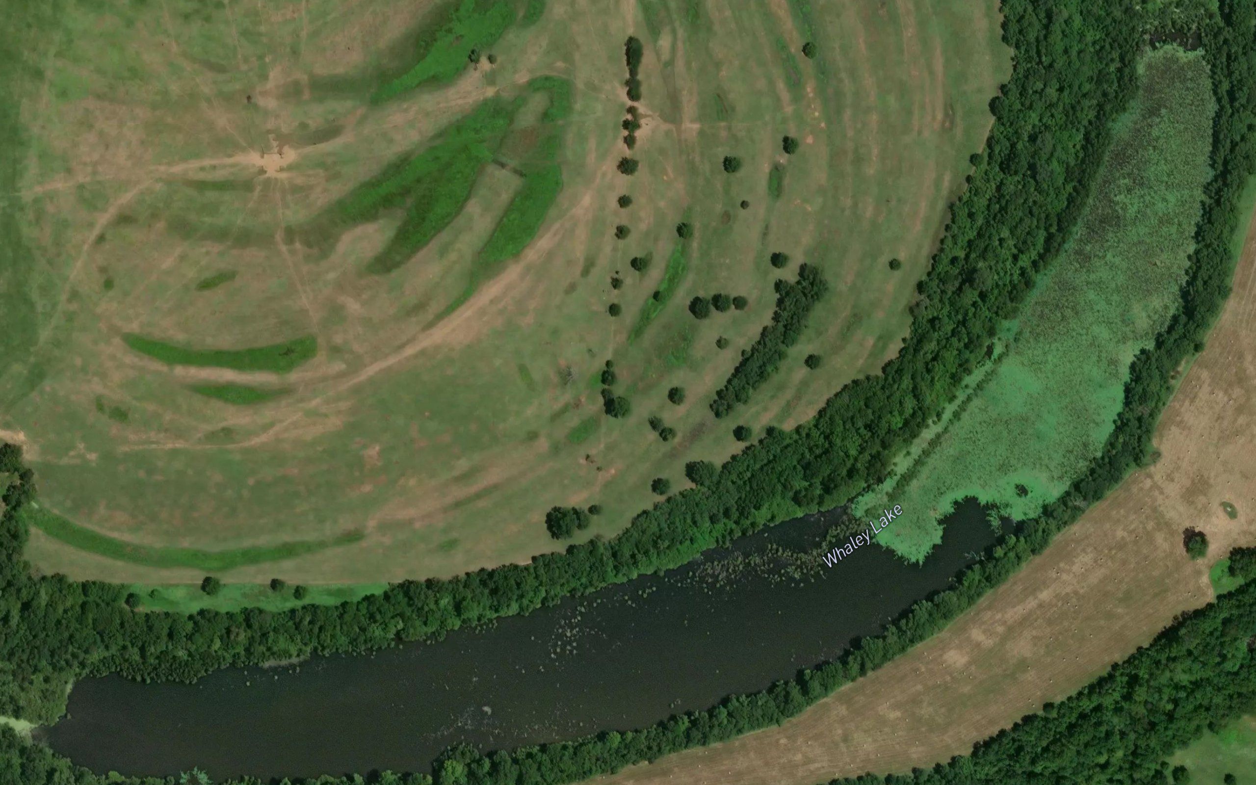 Whaley Lake
