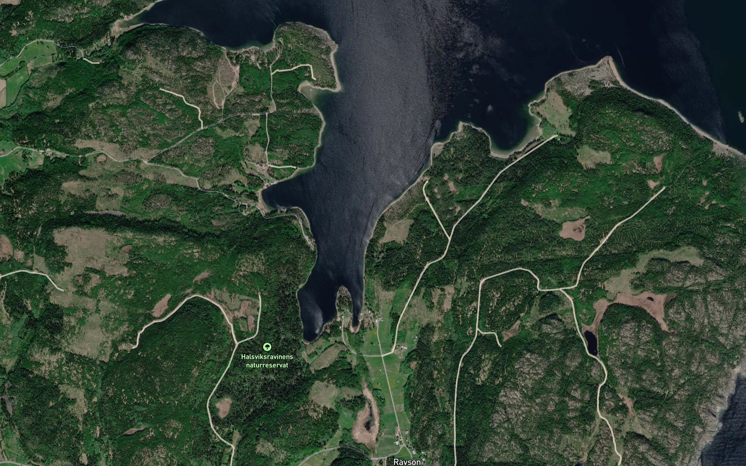 Norra Ravsoviken