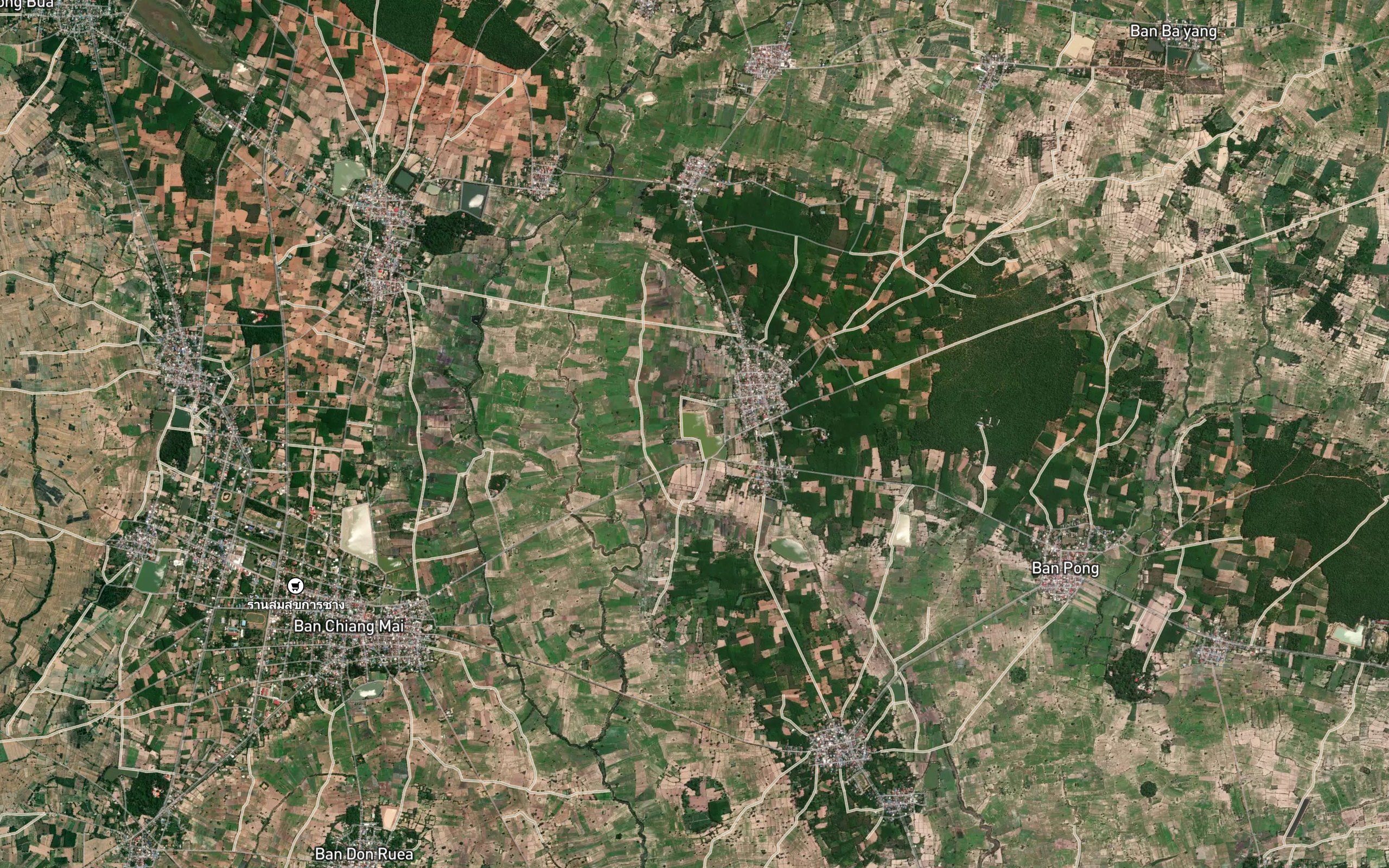 Nong Yai