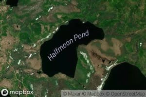 Halfmoon Pond