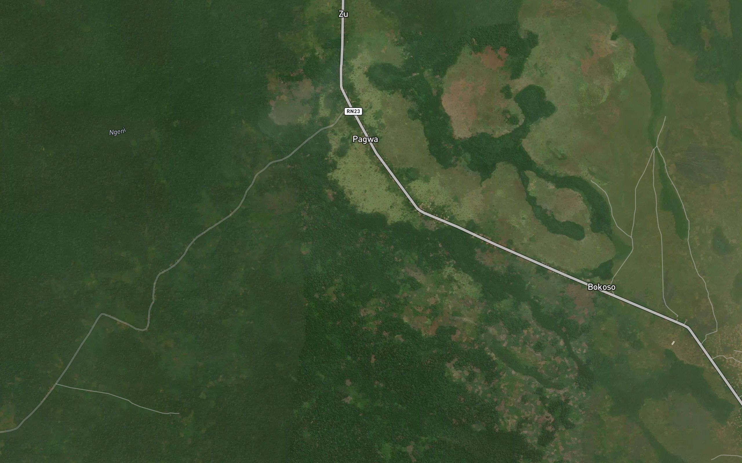 Yanga