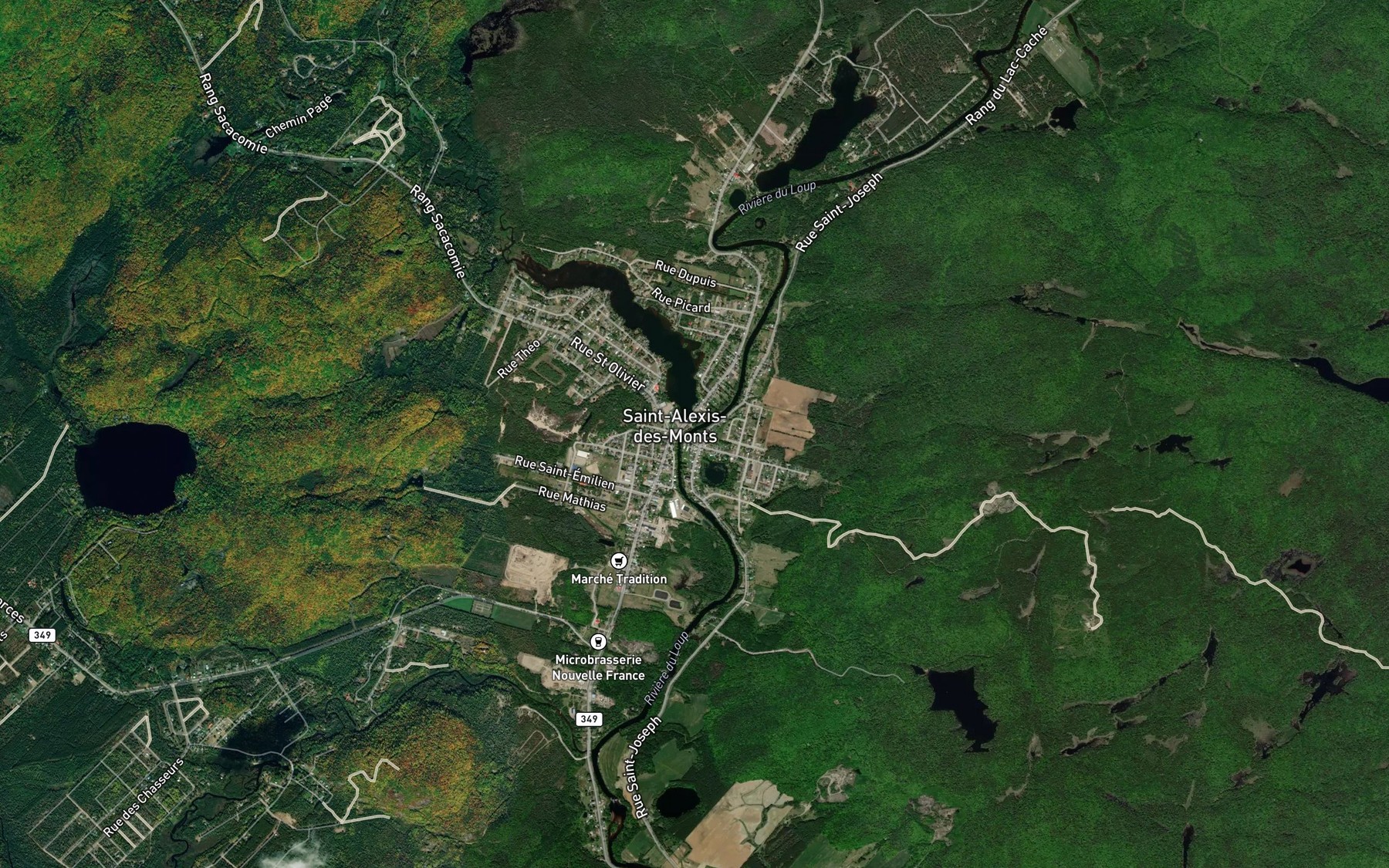 Satellite map of the Riviere Sacacomie