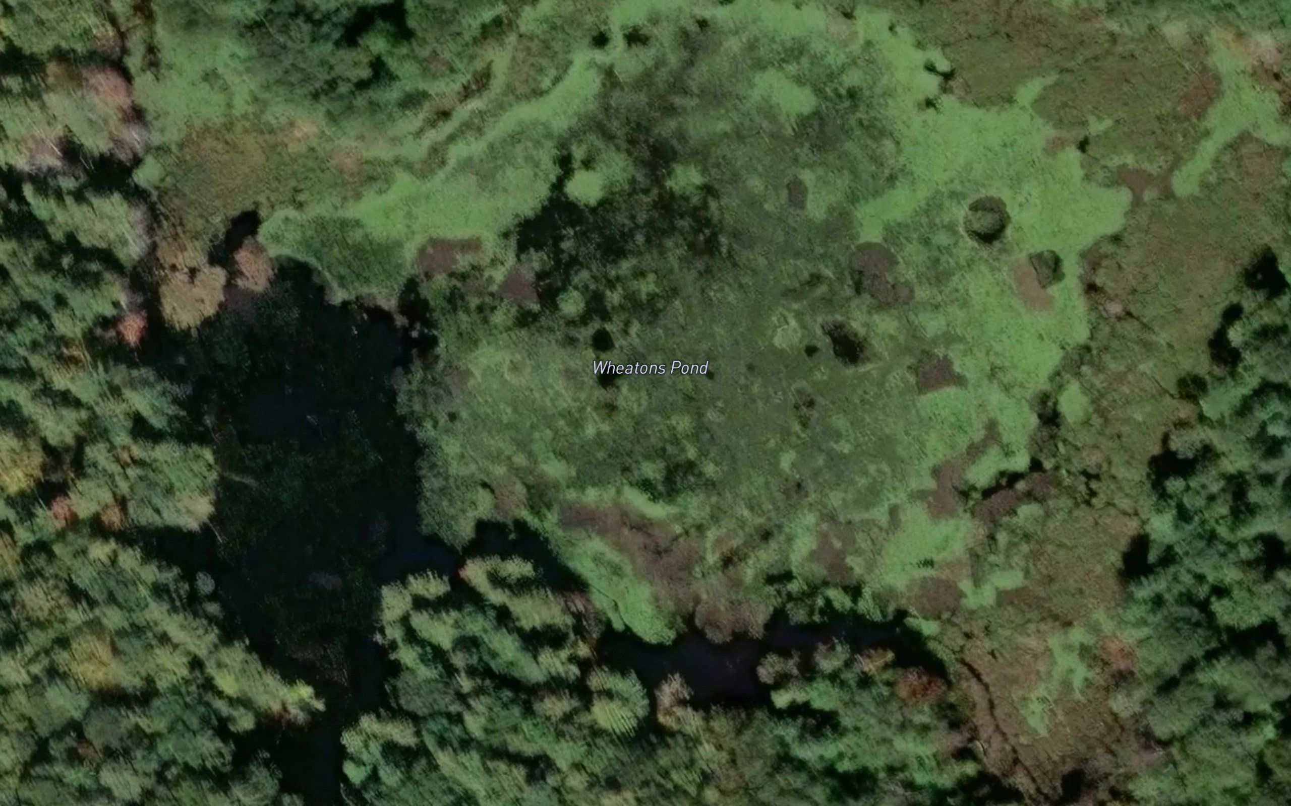 Wheatons Pond