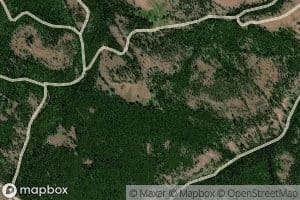 Section Line Spring