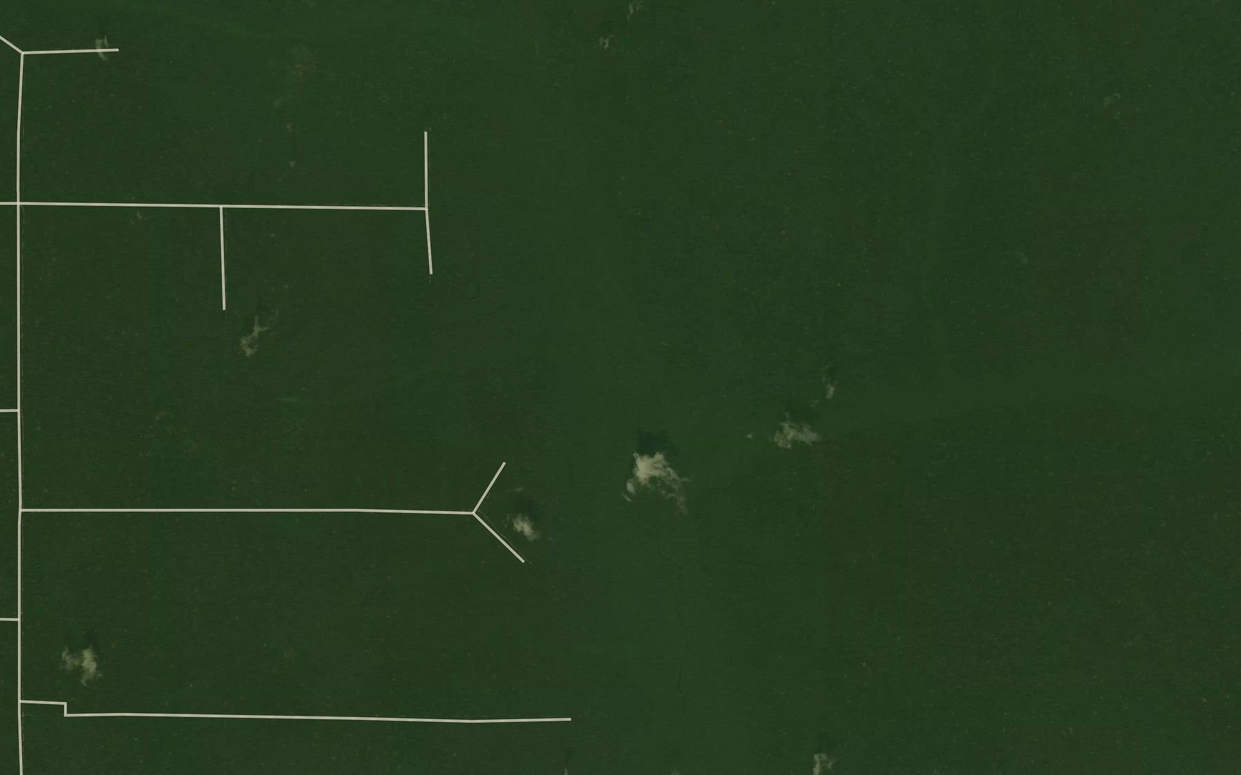 Satellite map of the Nzongo